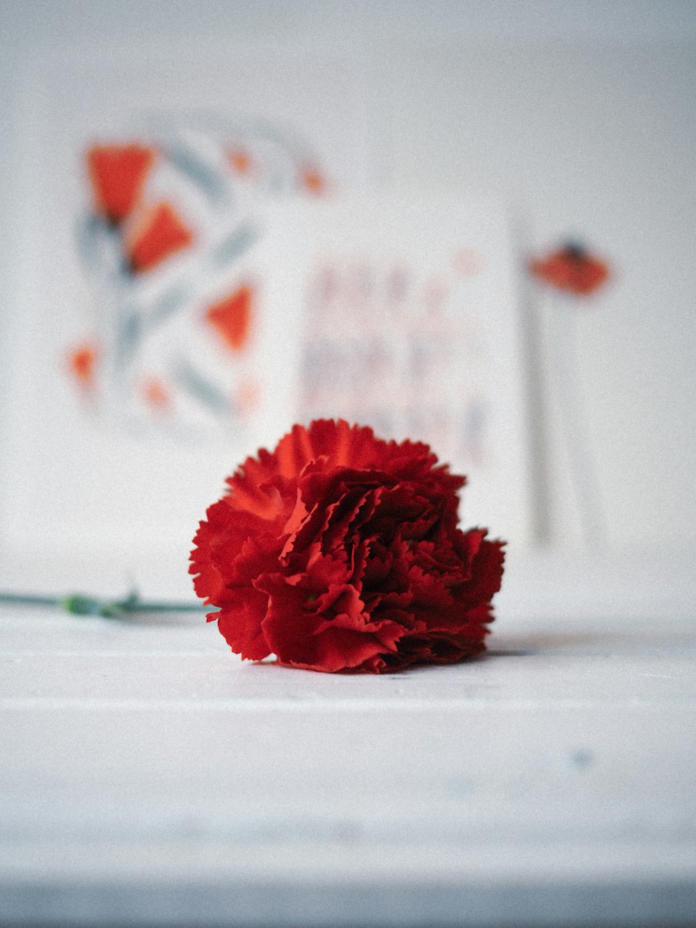 a red carnation sitting on top of a white table