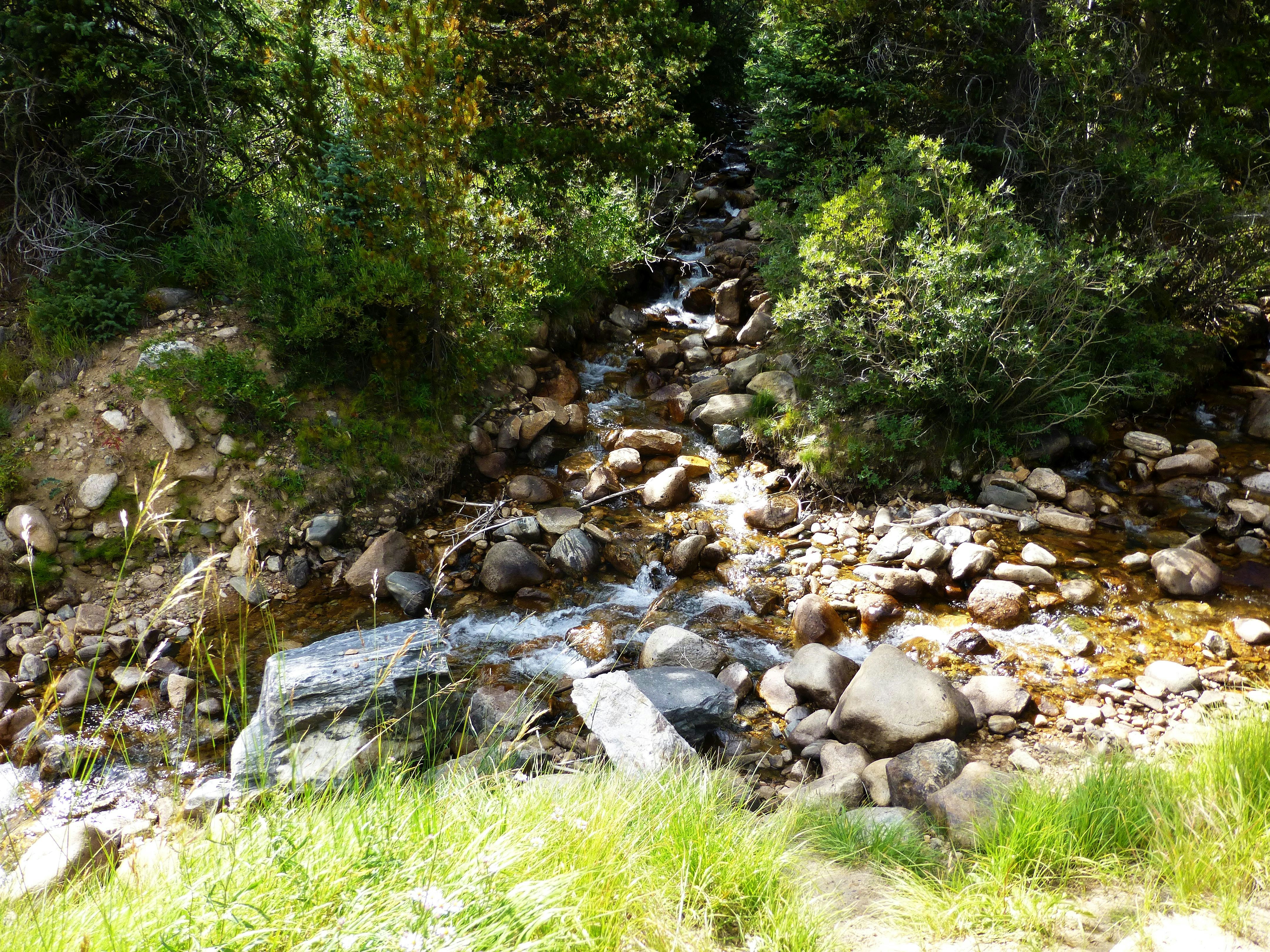 Photo by deniselynn_4