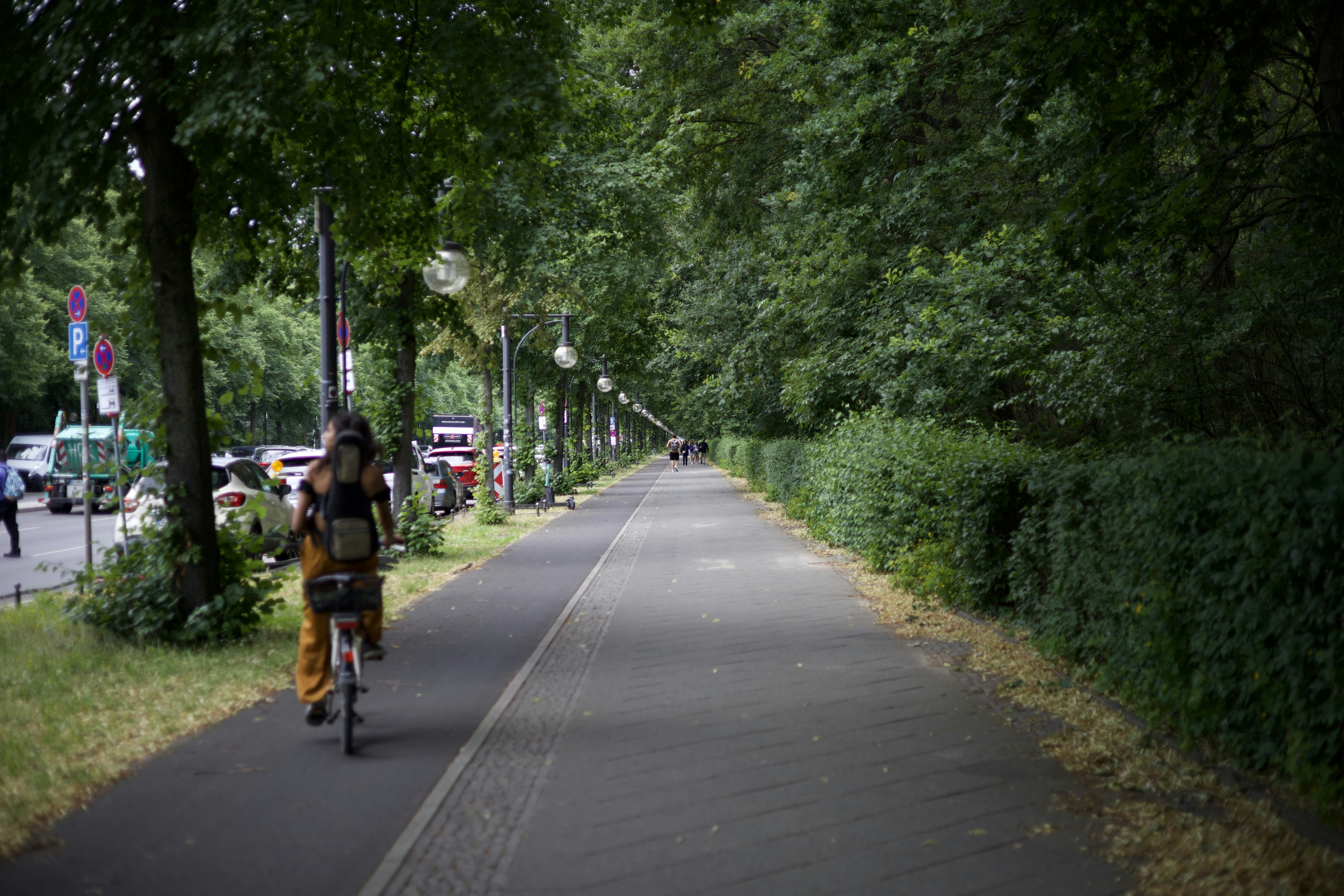 a person riding a bike down a tree lined street