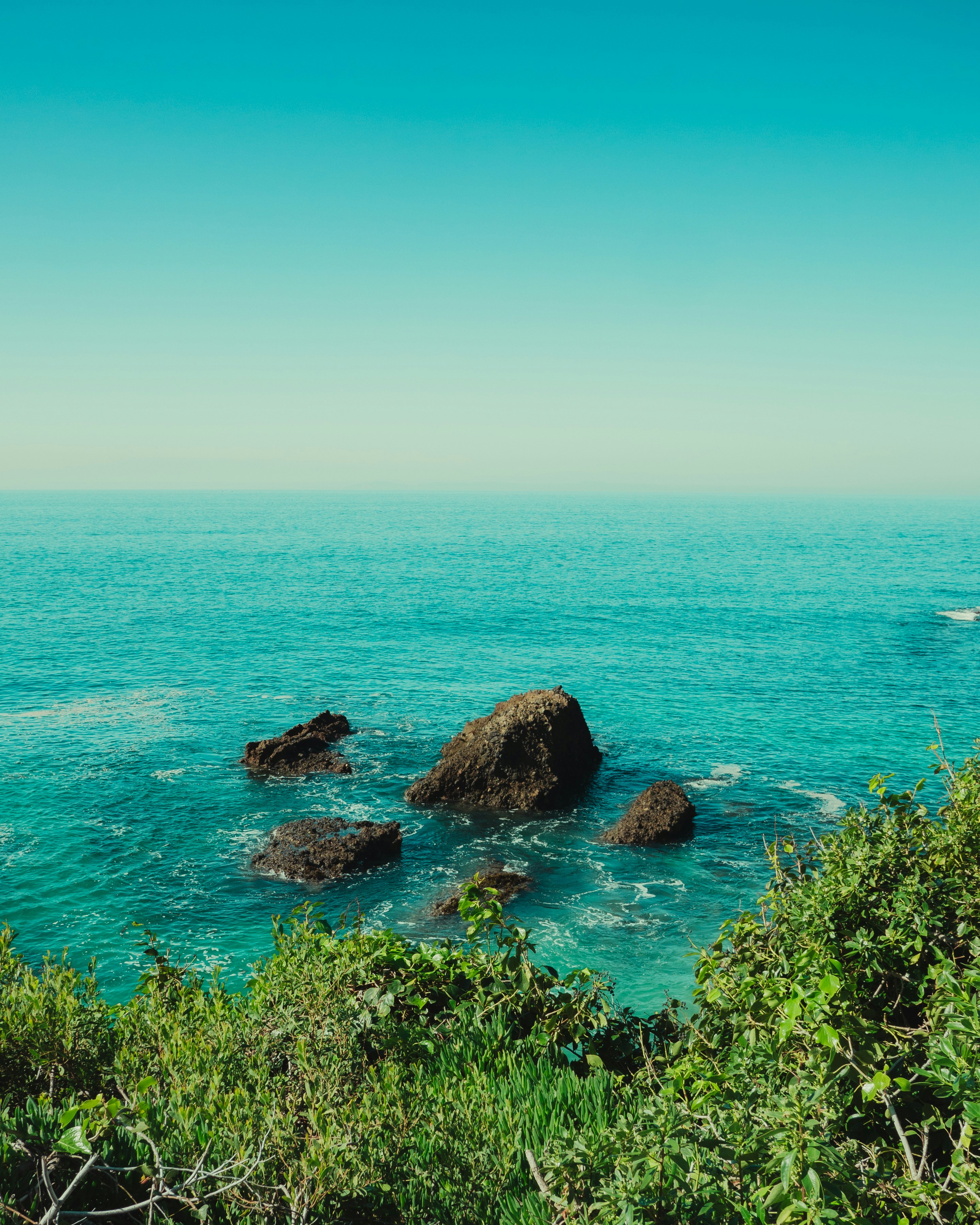 Photo by kingkonggeorge