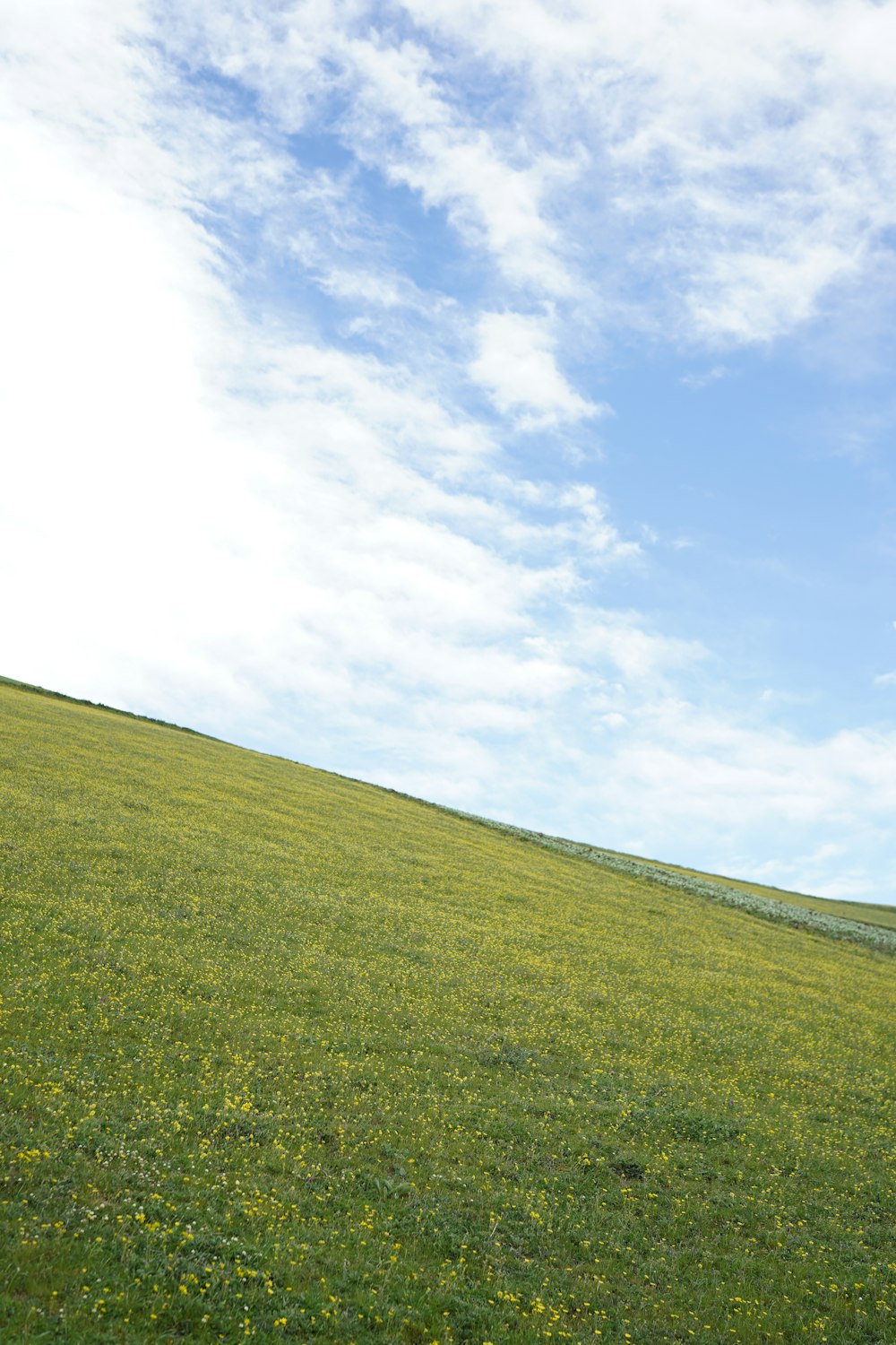 a man standing on top of a lush green hillside