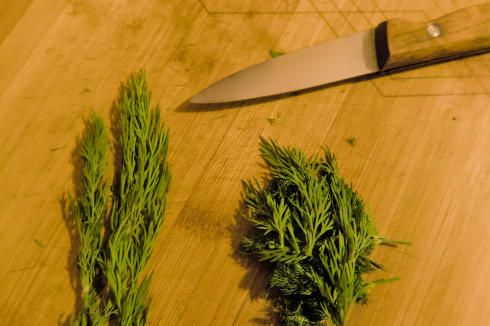 a knife and some green plants on a table