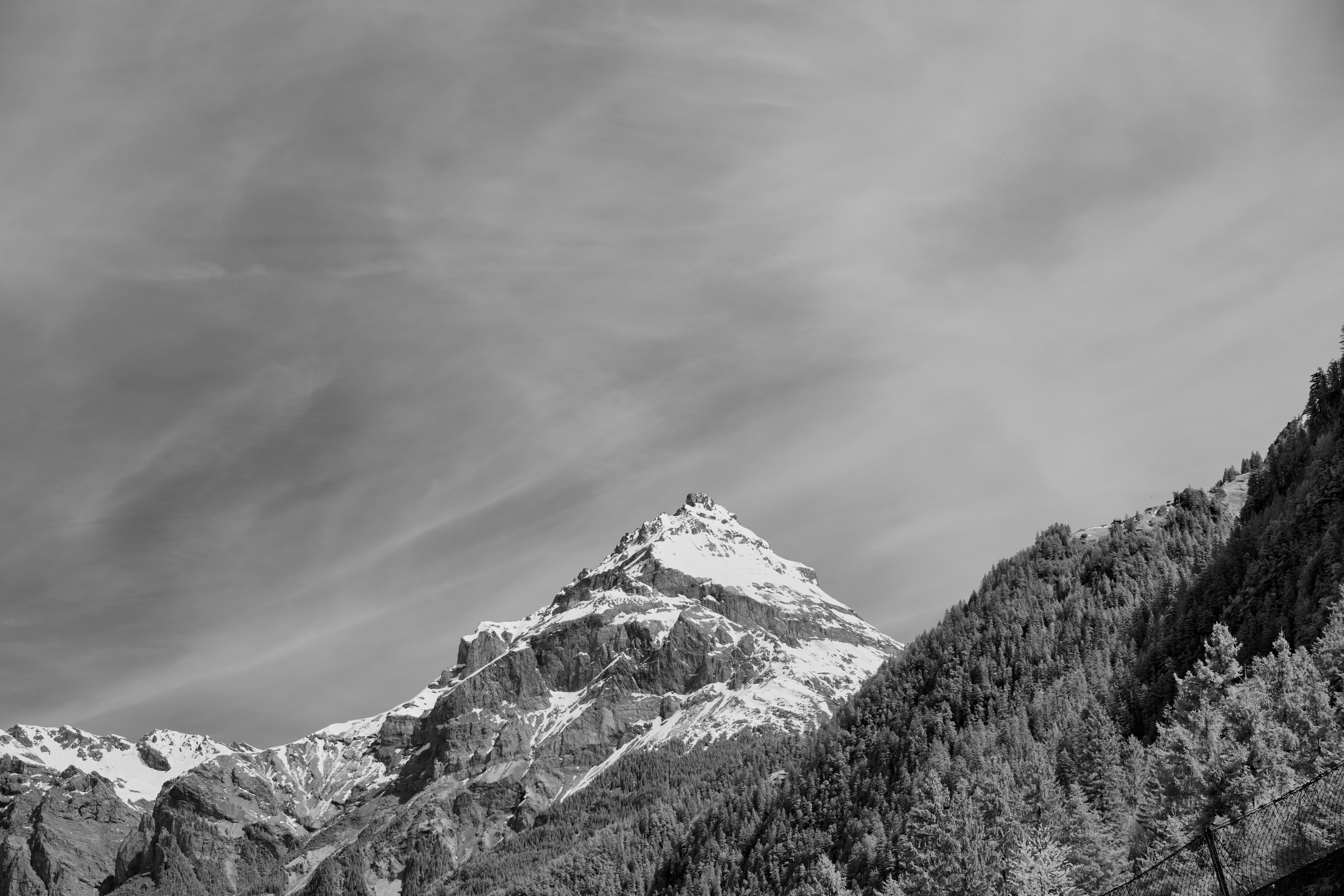 Photo by wolfgang_hasselmann