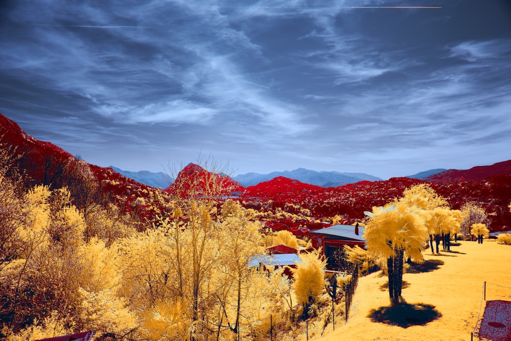 a scenic view of a mountain range with trees in the foreground