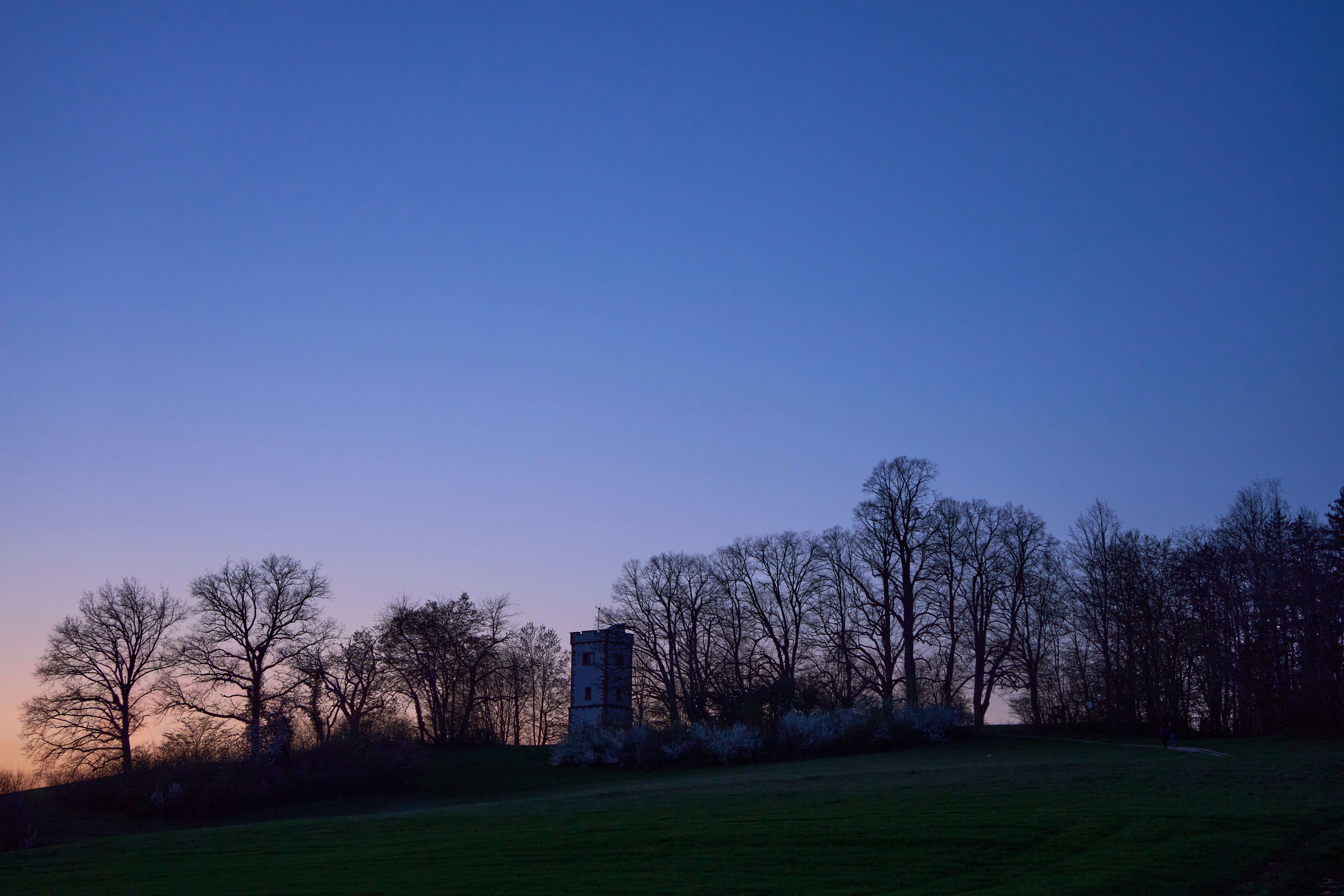 Photo by wolfgang_hasselmann