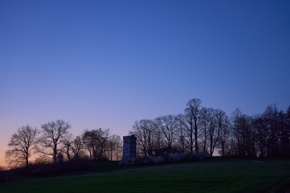 a grassy field with trees and a building in the distance