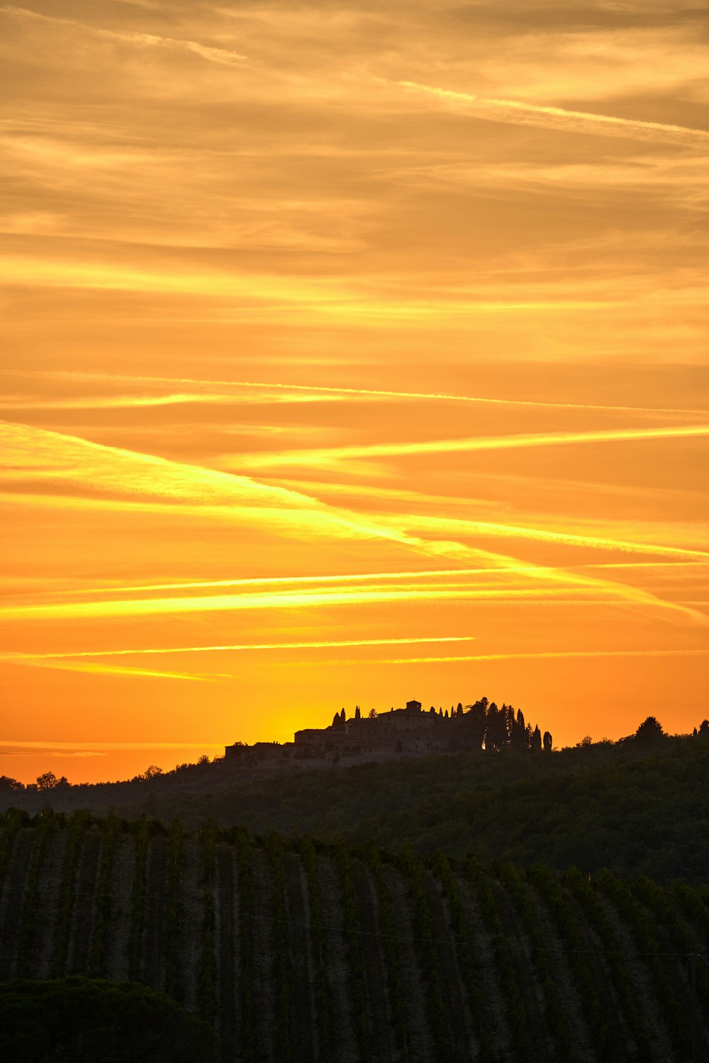 a sunset over a vineyard with a castle in the distance