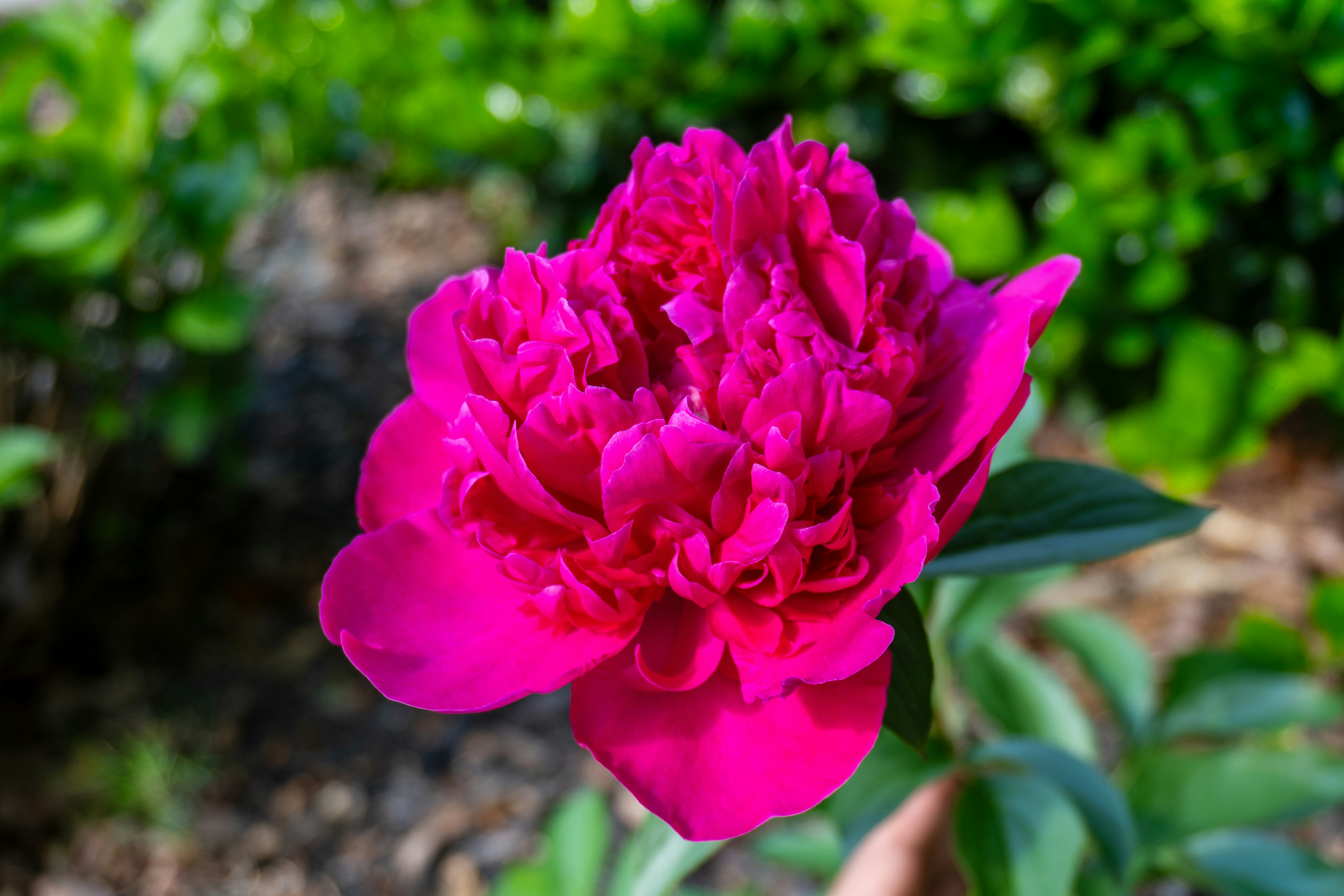 Photo by therealtimvegas