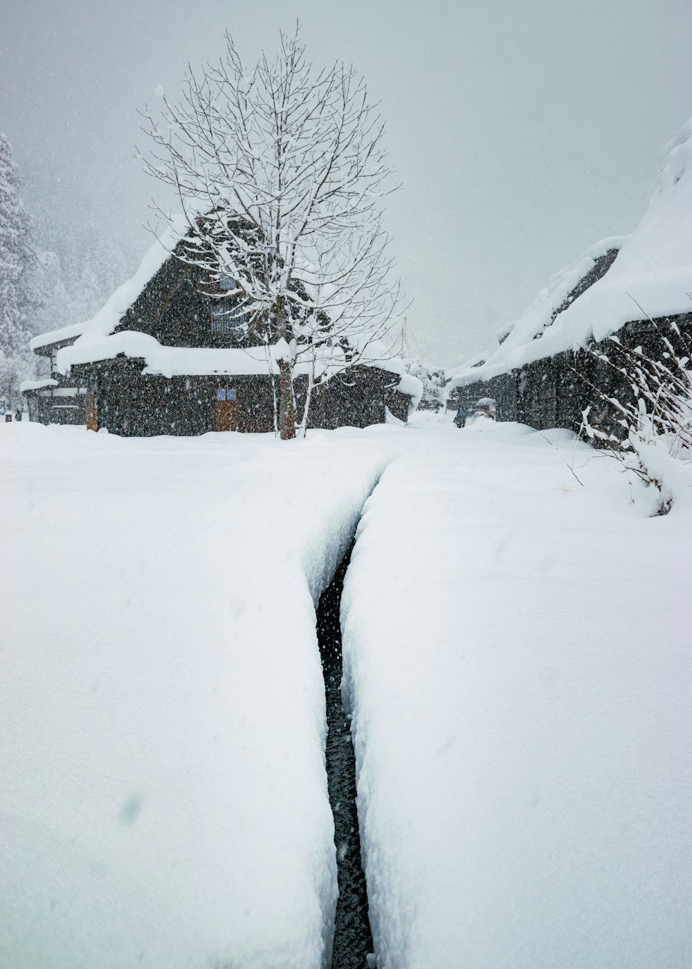 a snow covered road with a house in the background