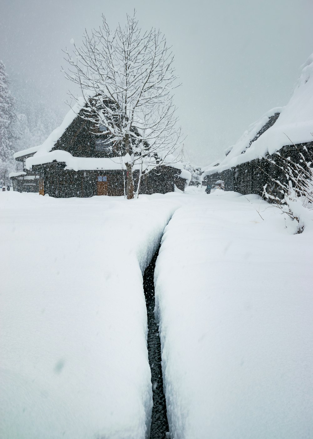 雪に覆われた道と家を背景に