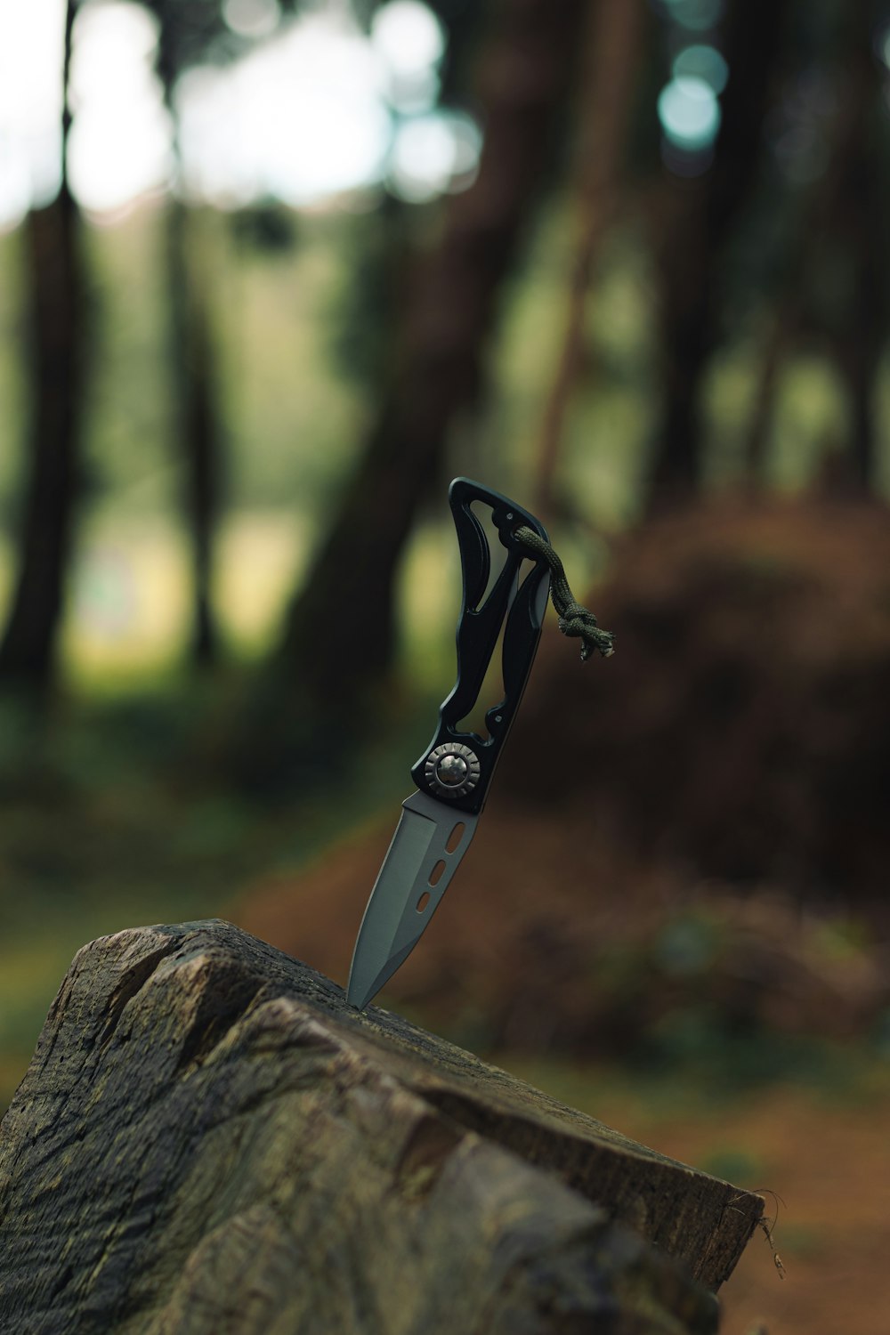 a knife stuck in a tree stump in the woods