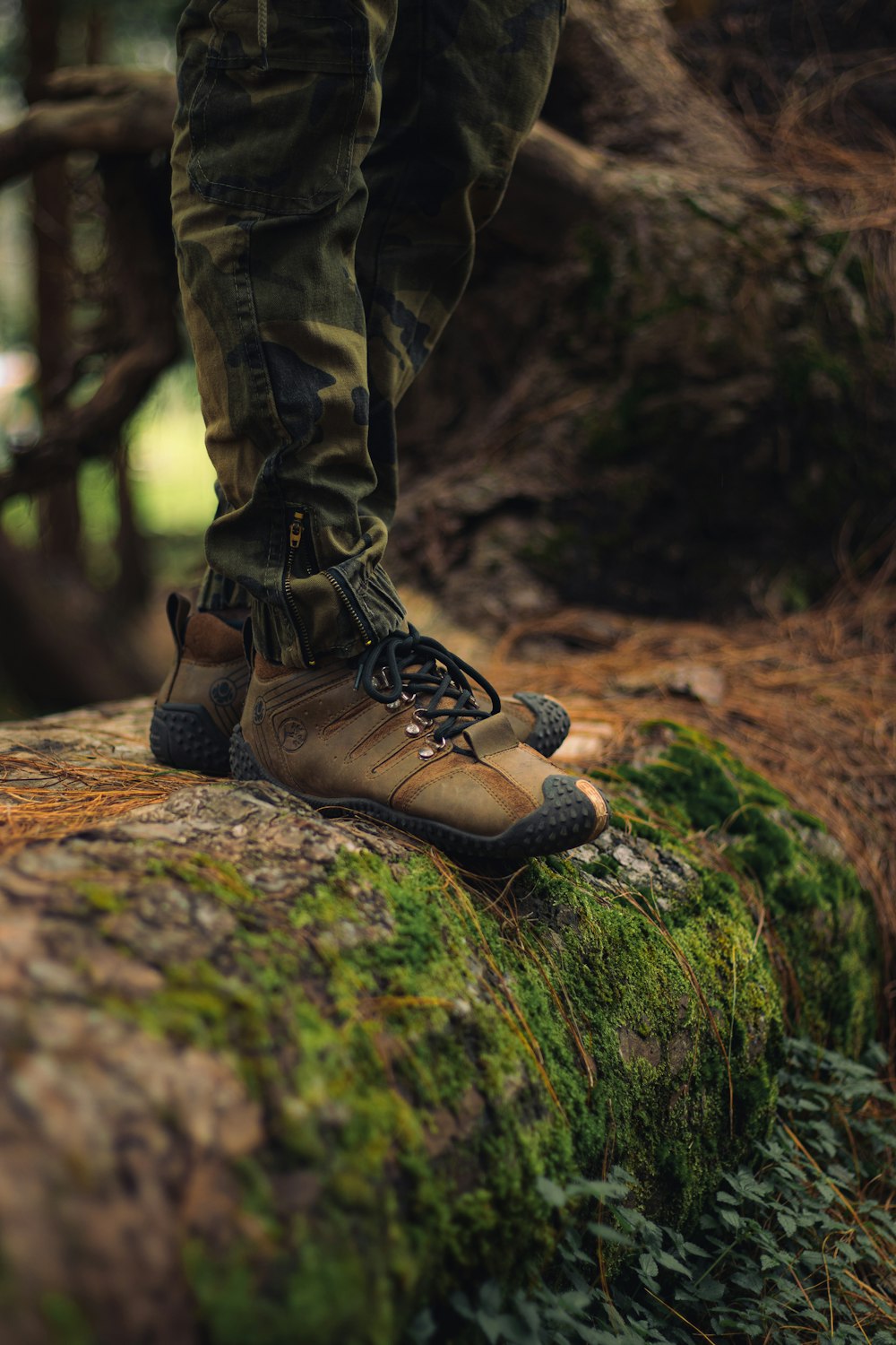 a person standing on top of a moss covered rock