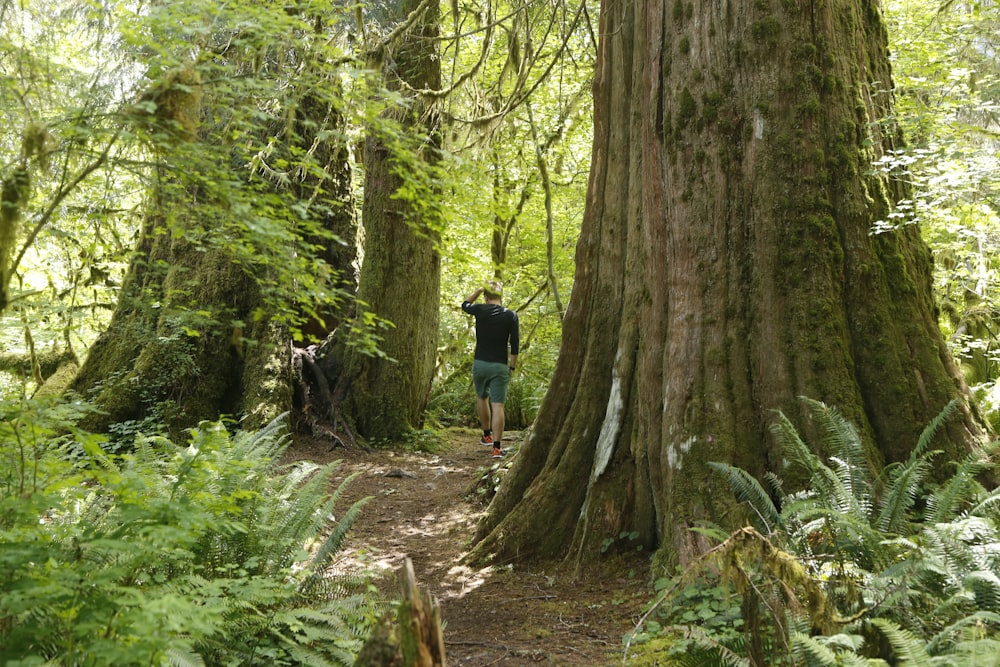 a man standing next to a large tree in a forest