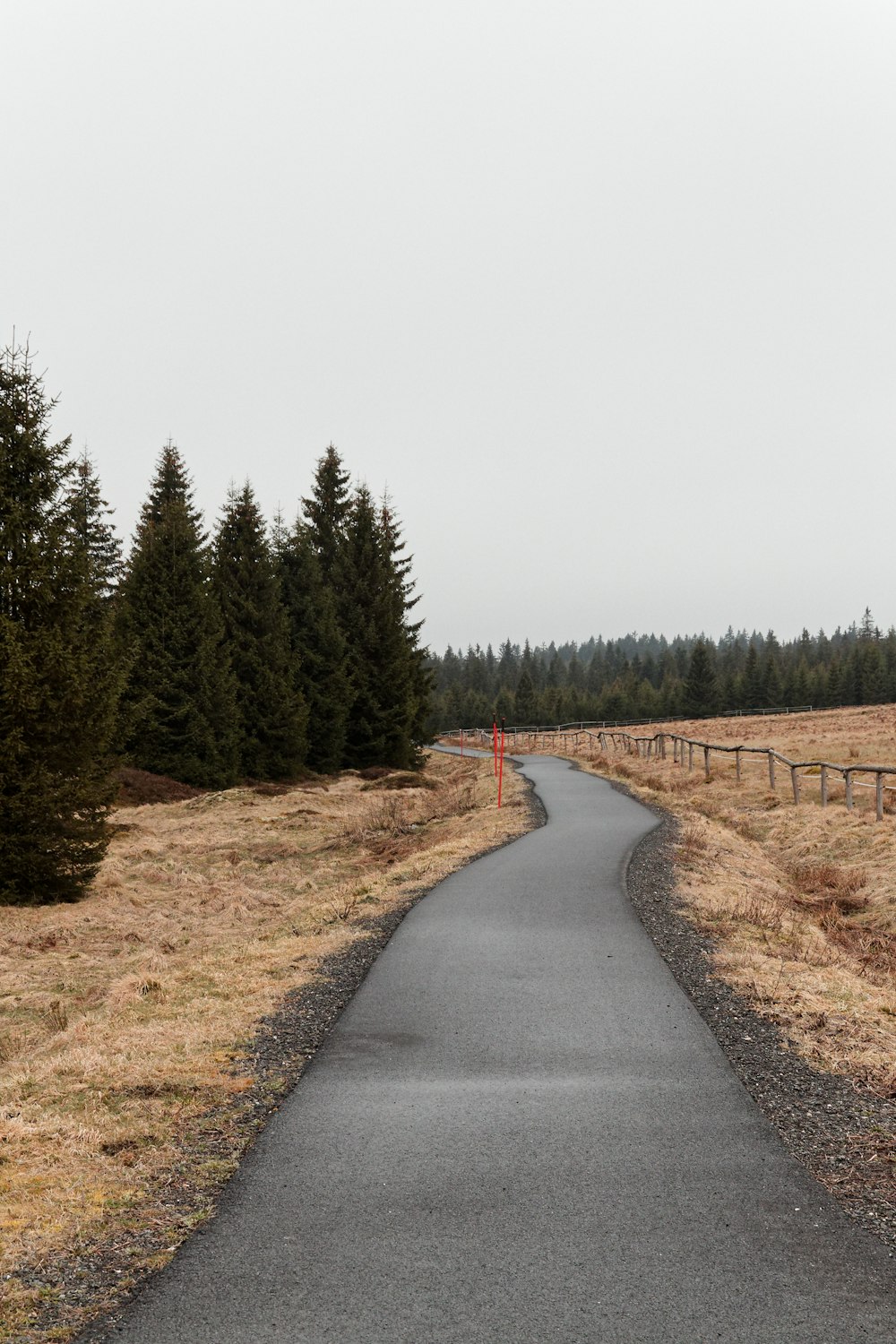 a paved road surrounded by trees in a field