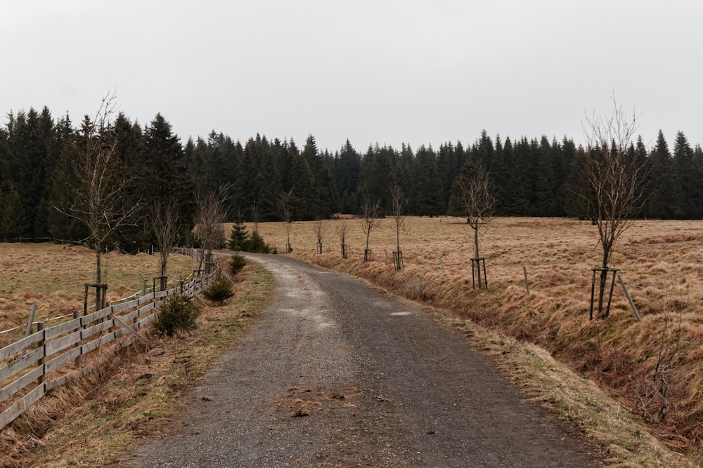 a dirt road in the middle of a field