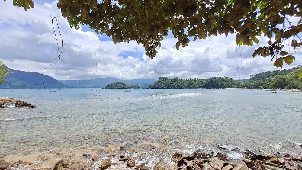 a body of water surrounded by rocks and trees