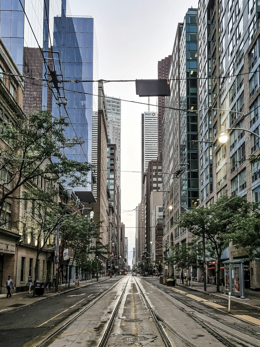 a city street lined with tall buildings and trees