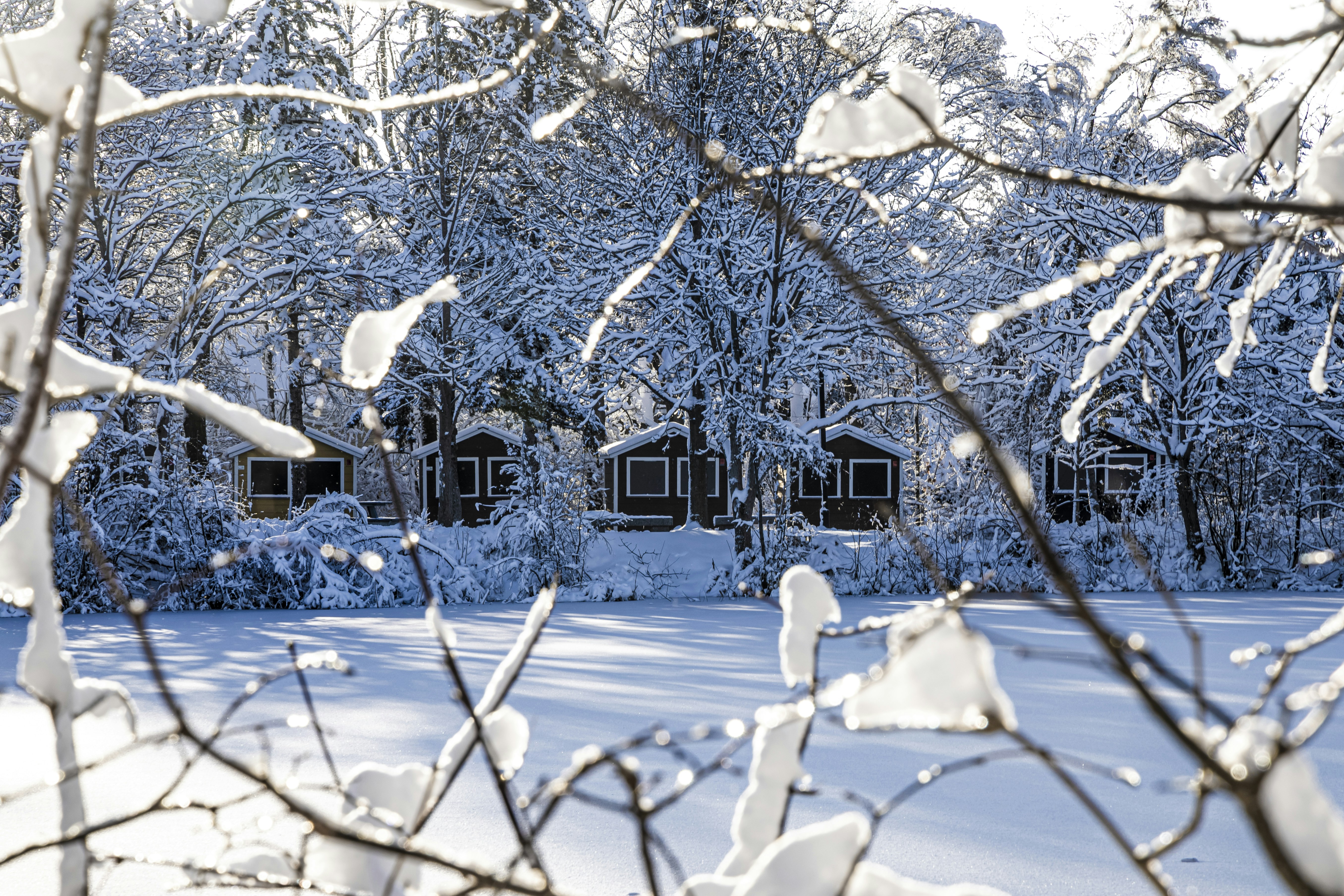 Chilling Out in Style: The Best Winter Lodge Stays for Ice Fishing in Minnesota