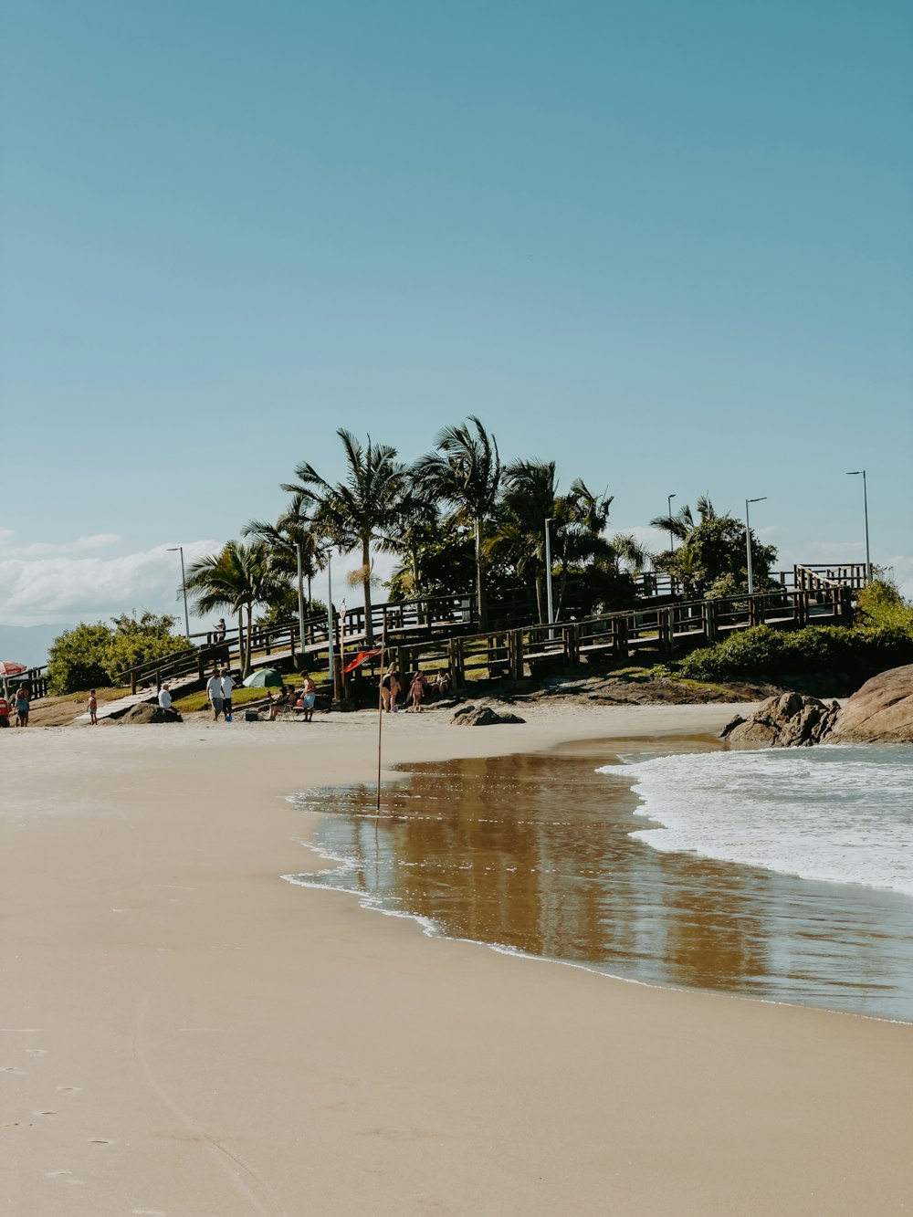 una spiaggia sabbiosa vicino all'oceano con palme