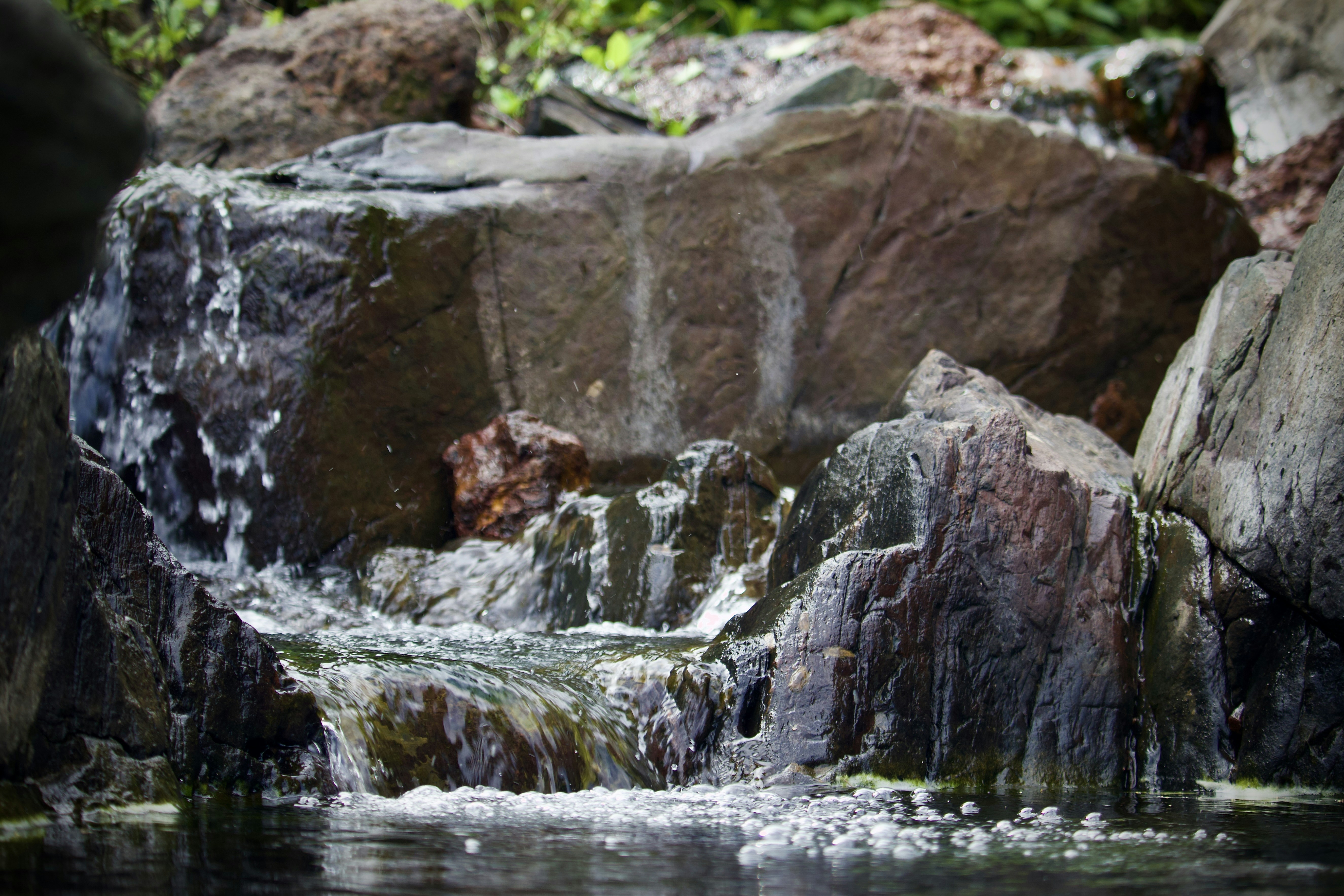 Photo by akashravuri