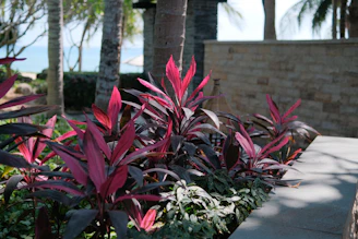 a planter filled with lots of purple flowers