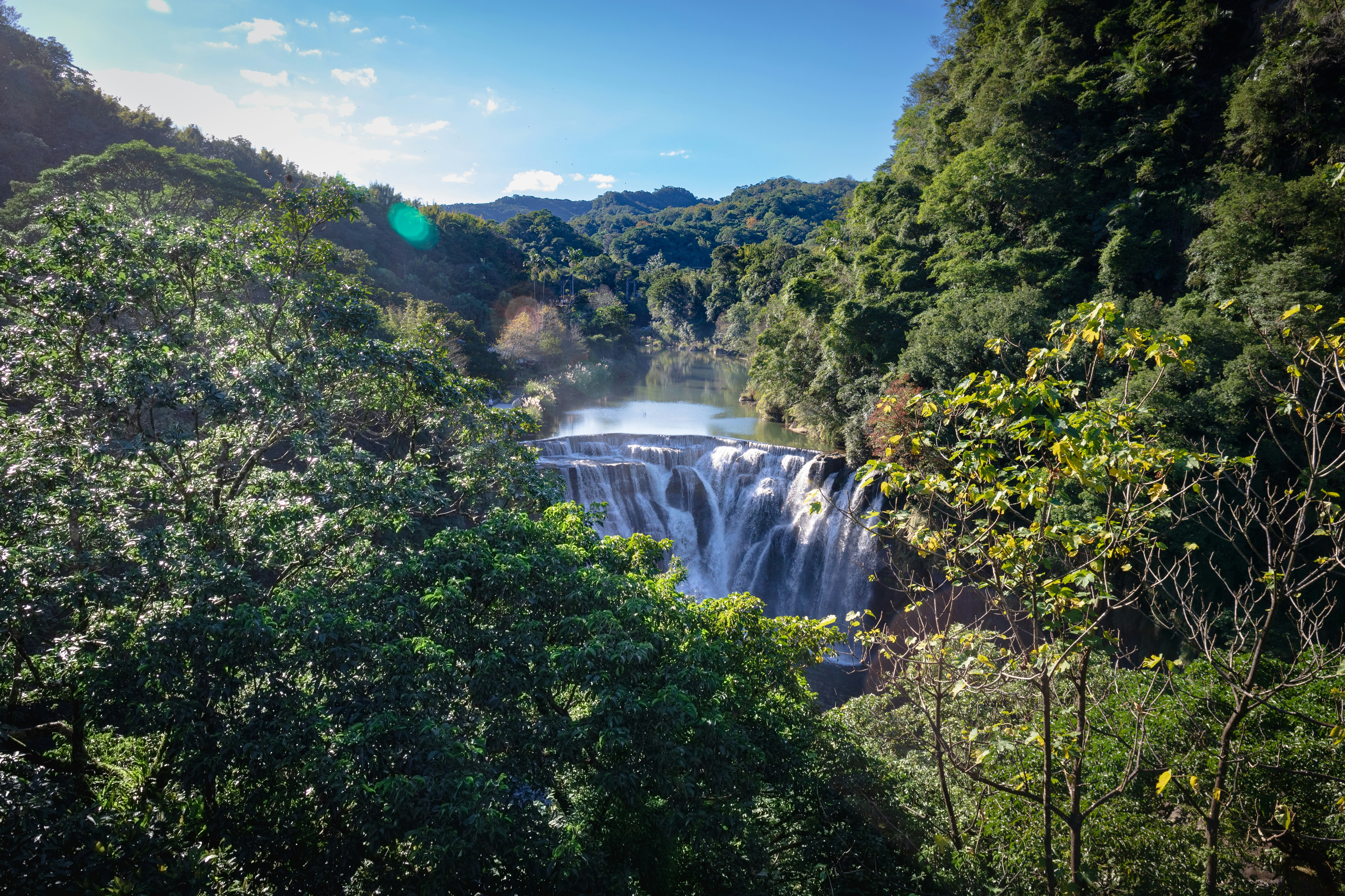 una gran cascada rodeada de árboles en medio de un bosque