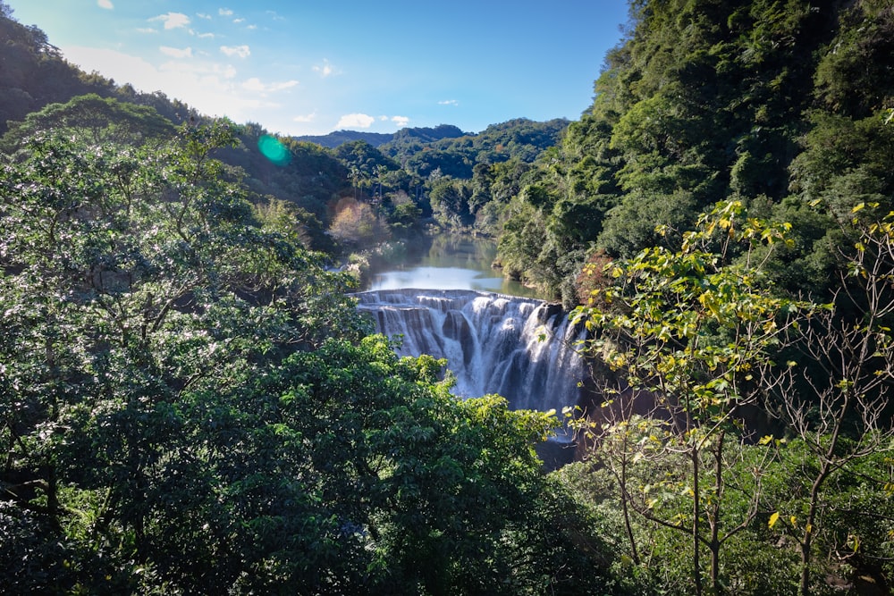 a large waterfall surrounded by trees in the middle of a forest