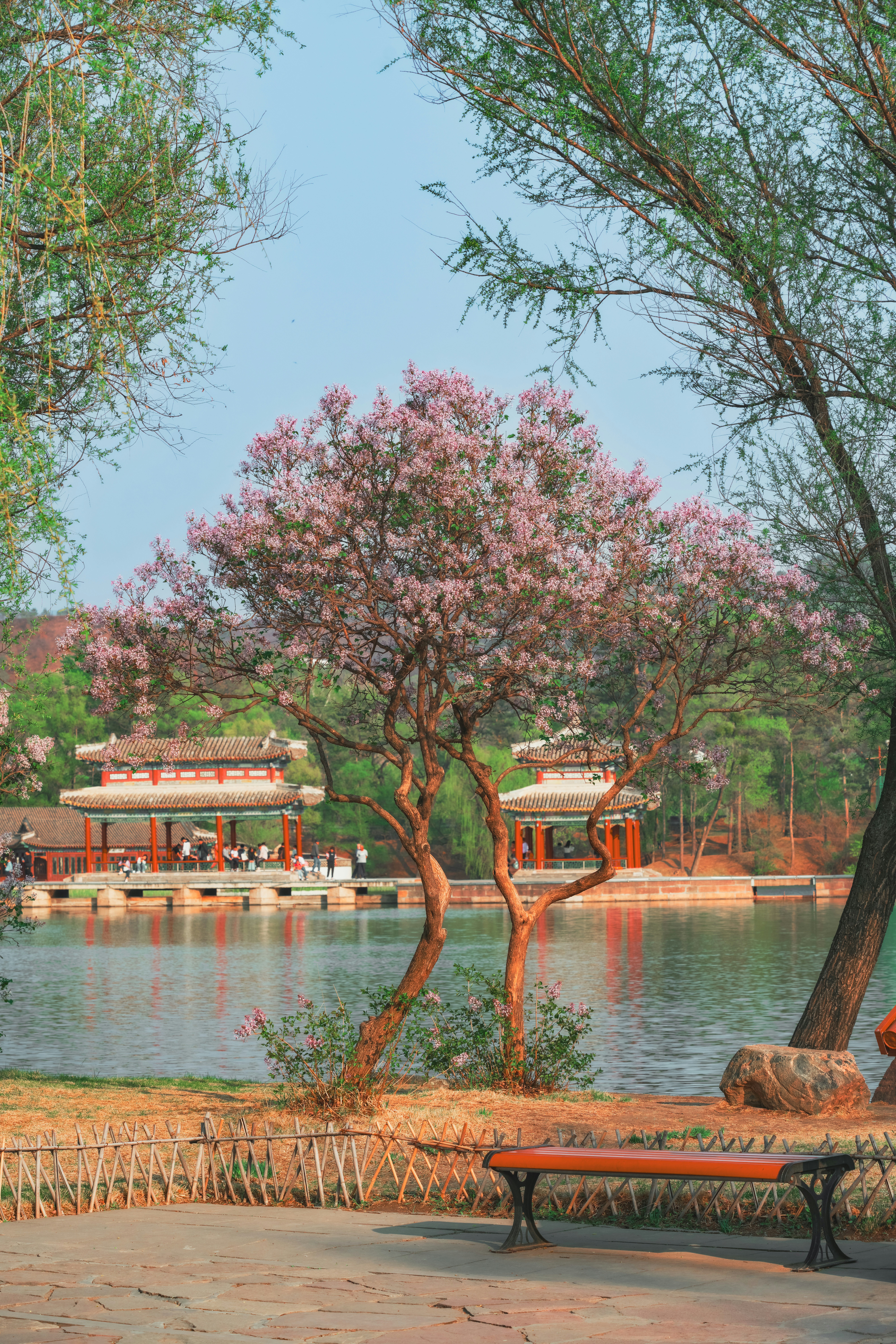 Photo by hattrick1996