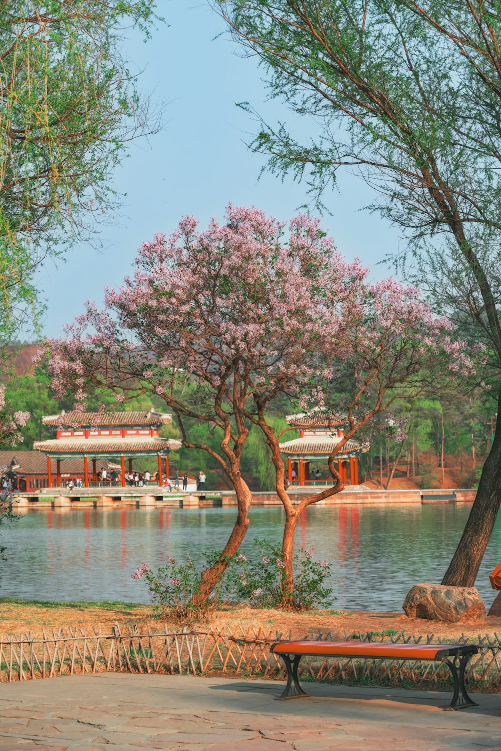 a park bench next to a body of water