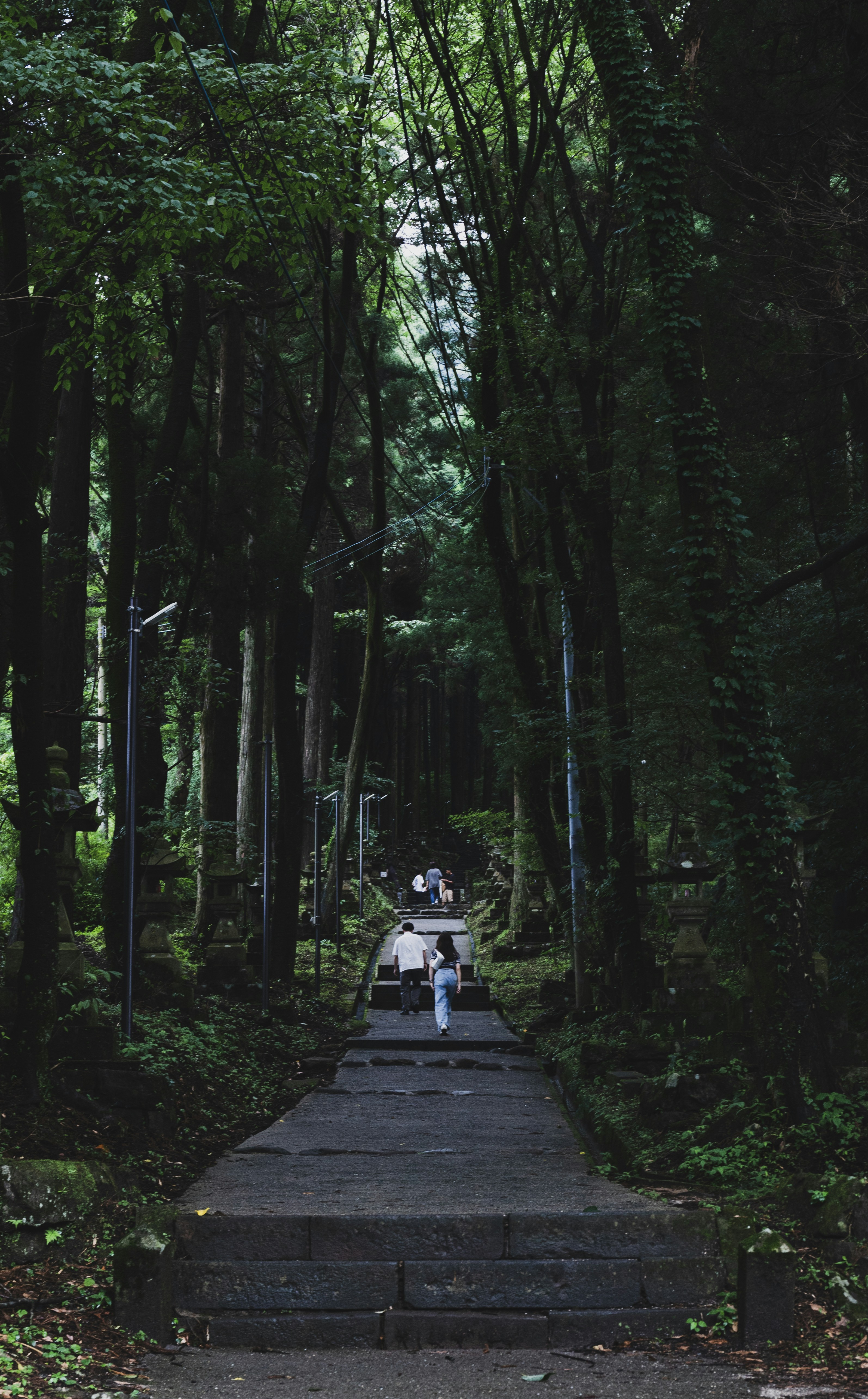 Photo by icelemontealesssugar