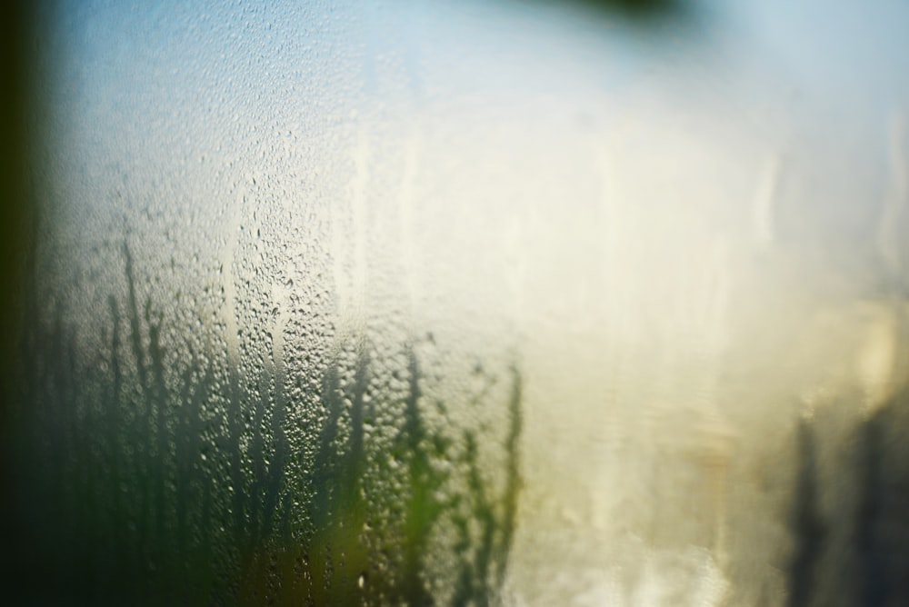 un gros plan d’une fenêtre avec des gouttes de pluie