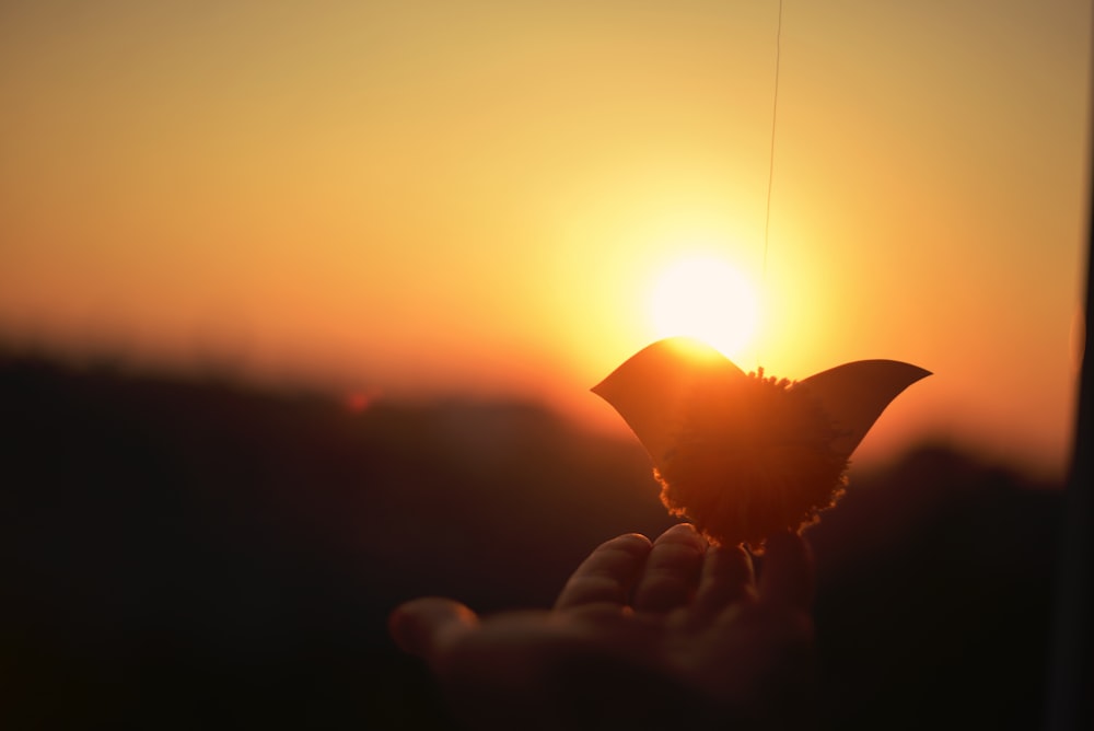 a person holding a small bird in front of the sun