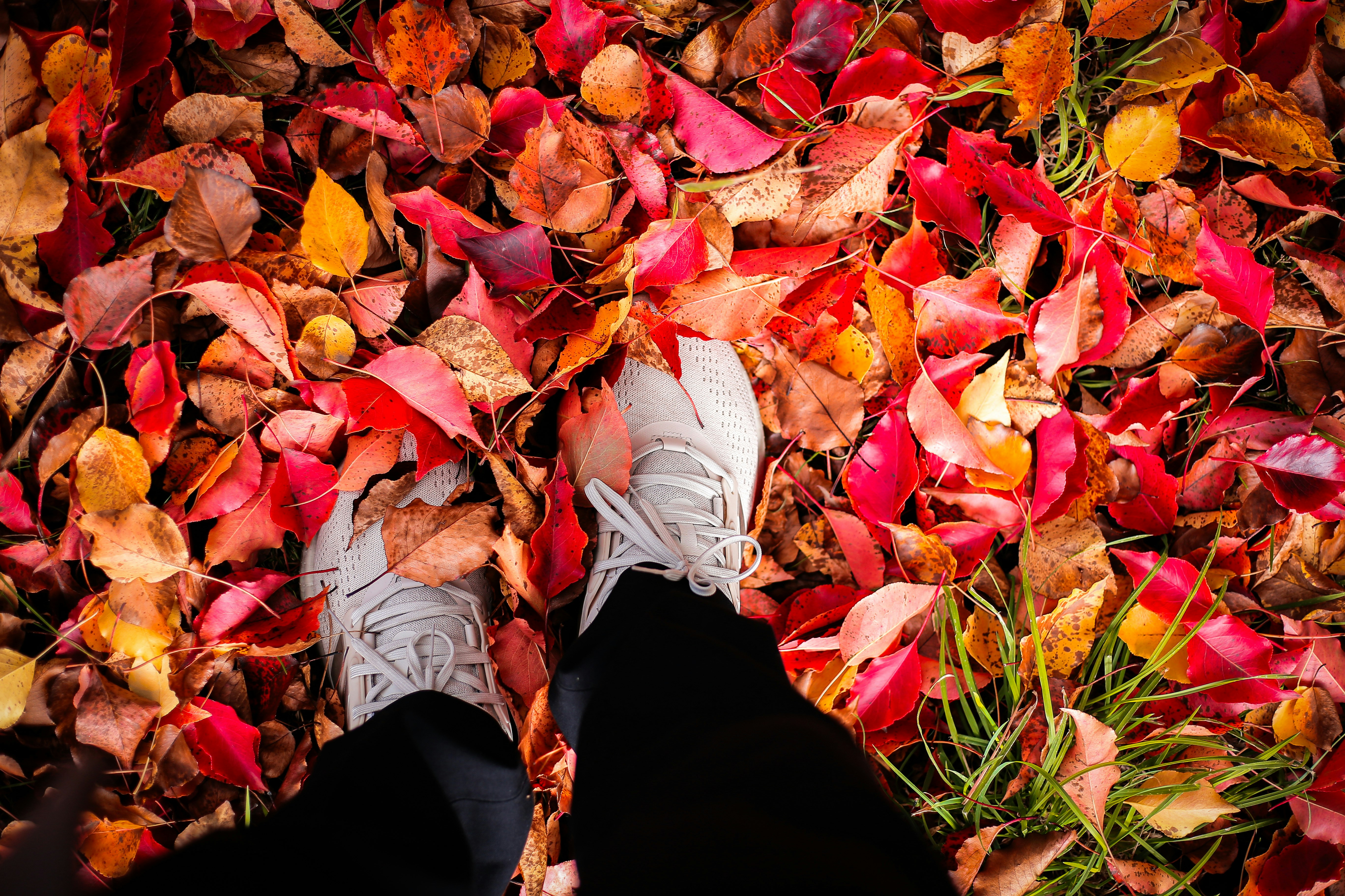 Photo by niko_nguyen_10