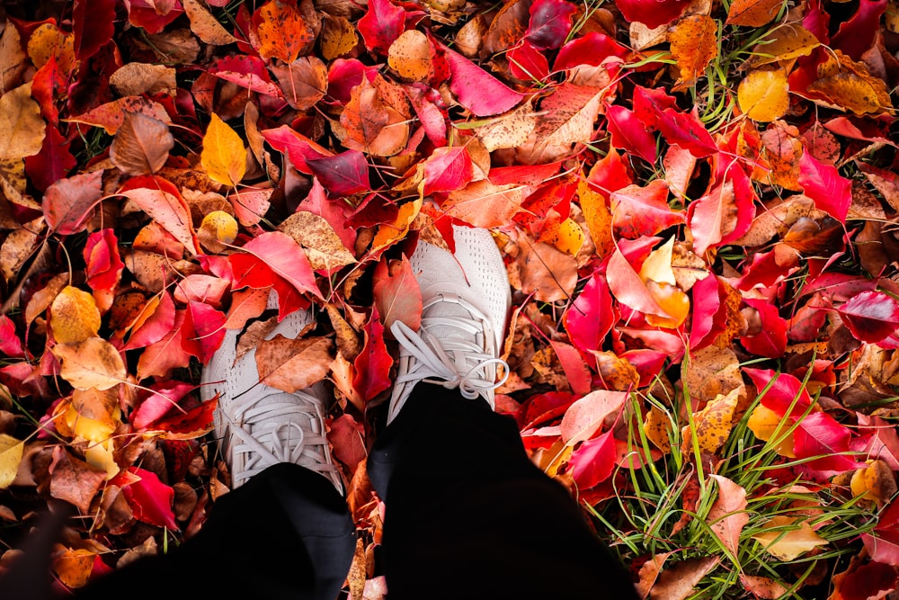 a person standing in a pile of leaves