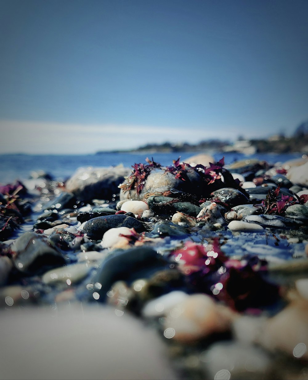 a bunch of rocks sitting on top of a beach