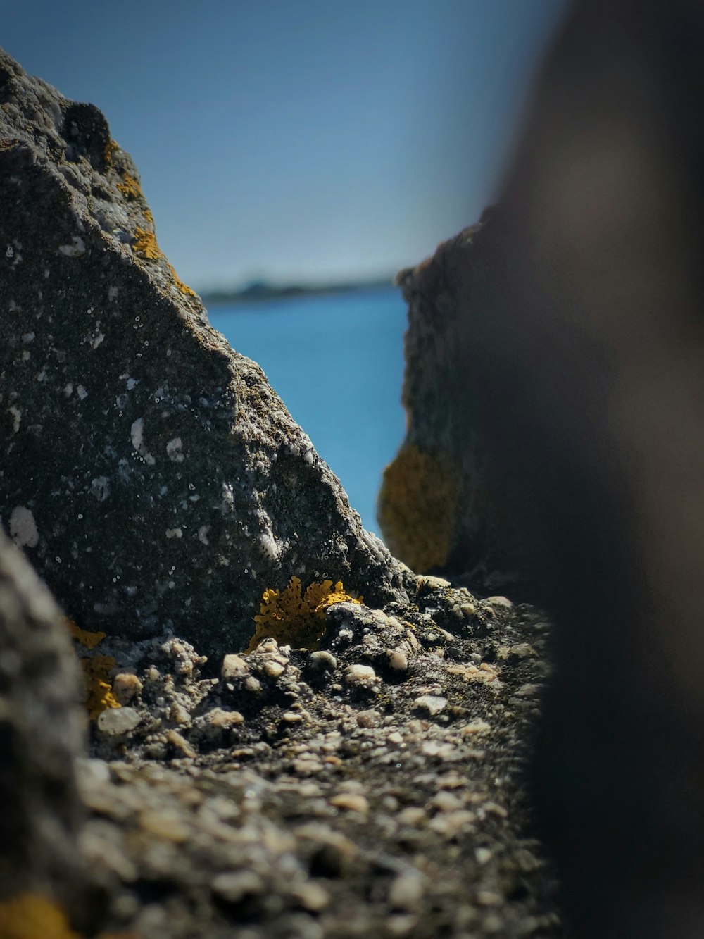 a close up of a rock with water in the background