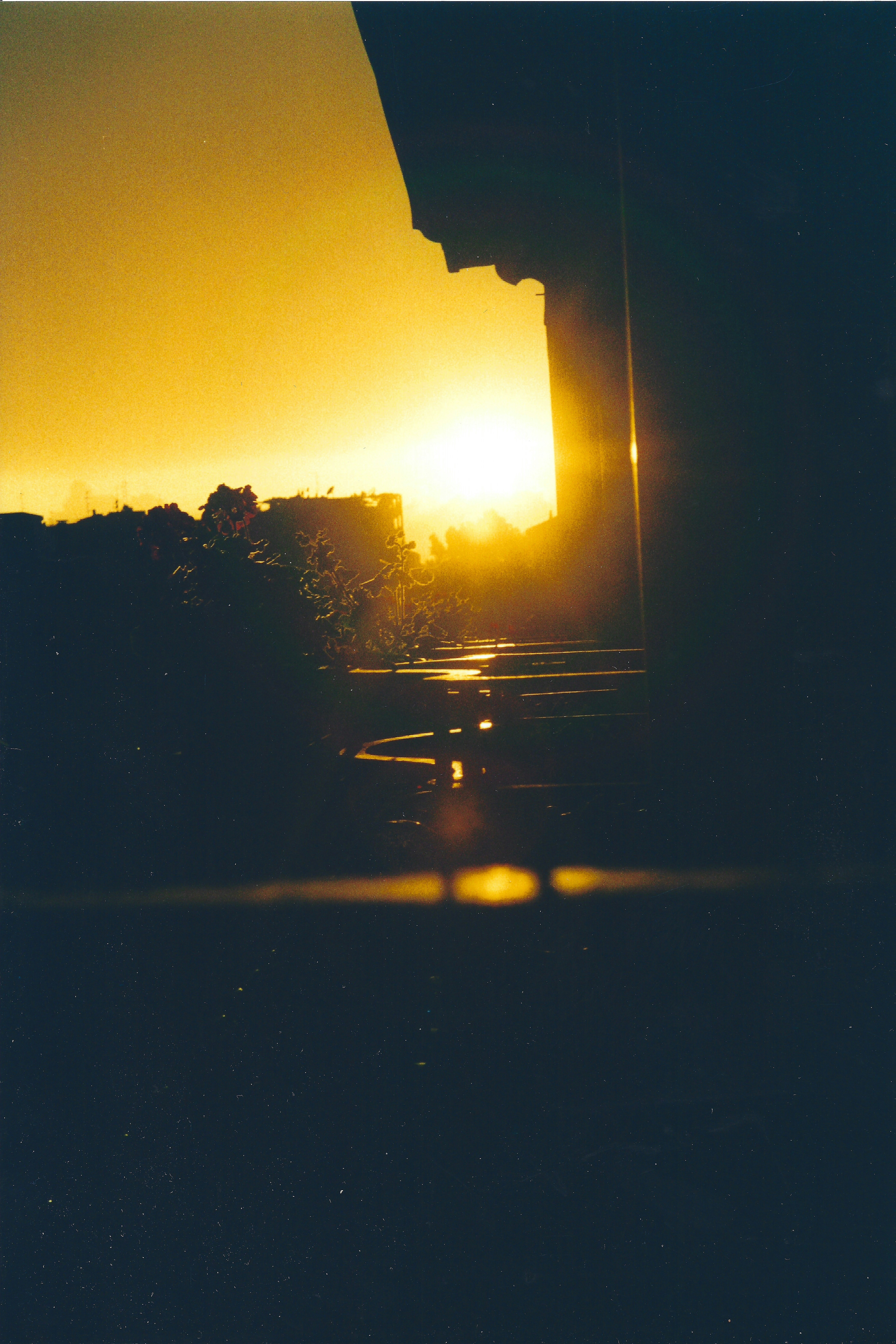 Photo by francesco_ungaro