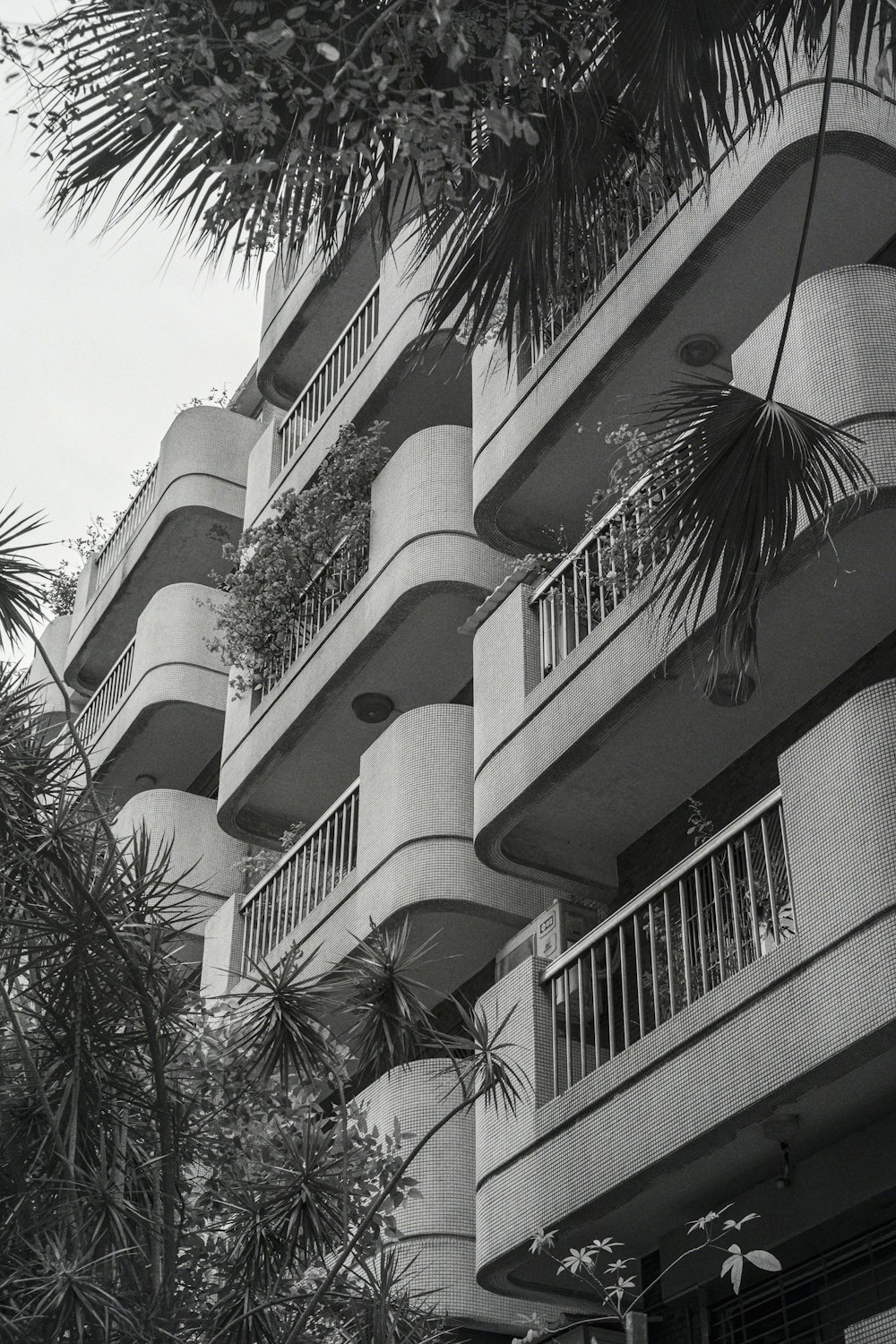 Una foto en blanco y negro de un edificio con balcones