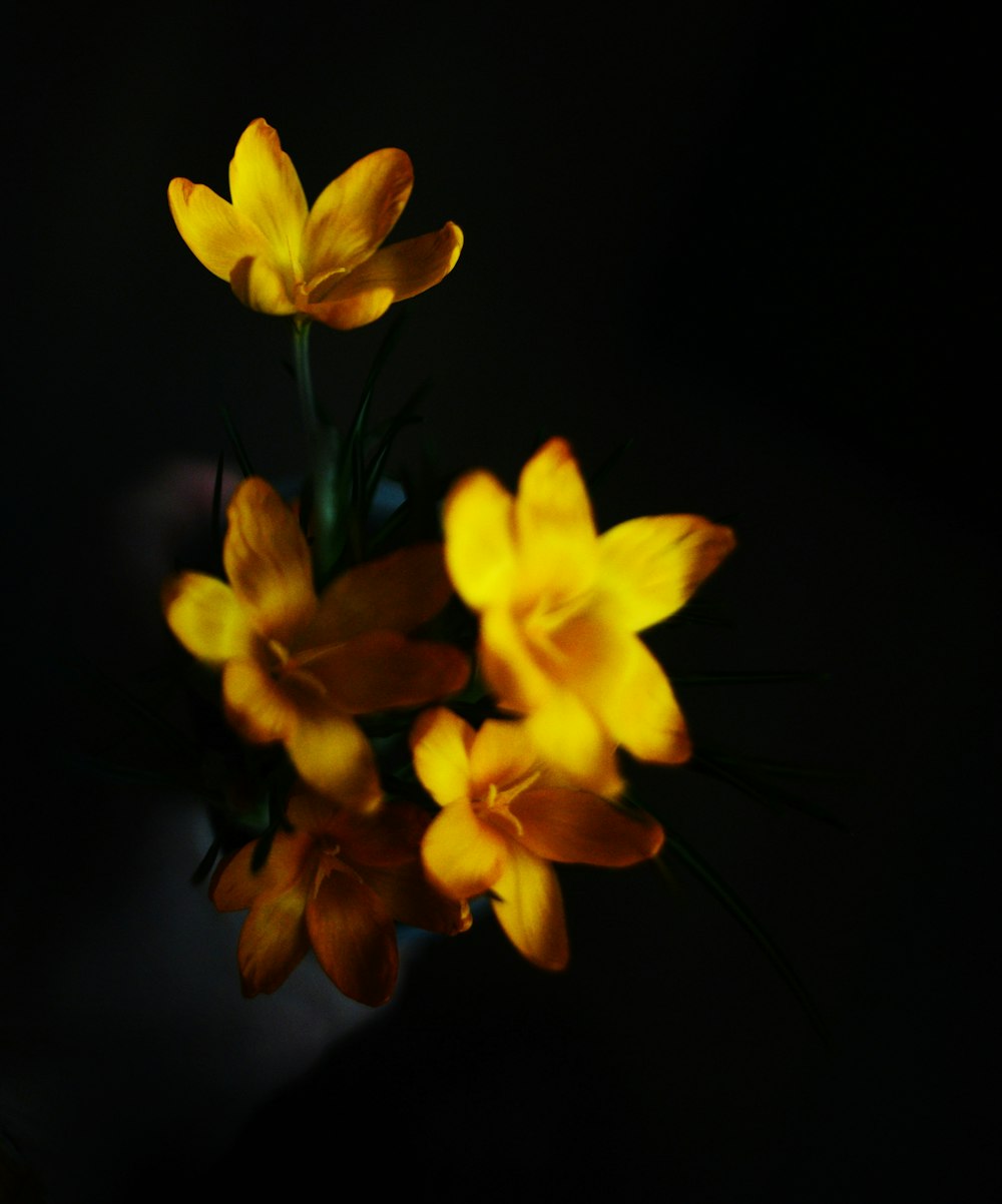 a vase filled with yellow flowers on top of a table