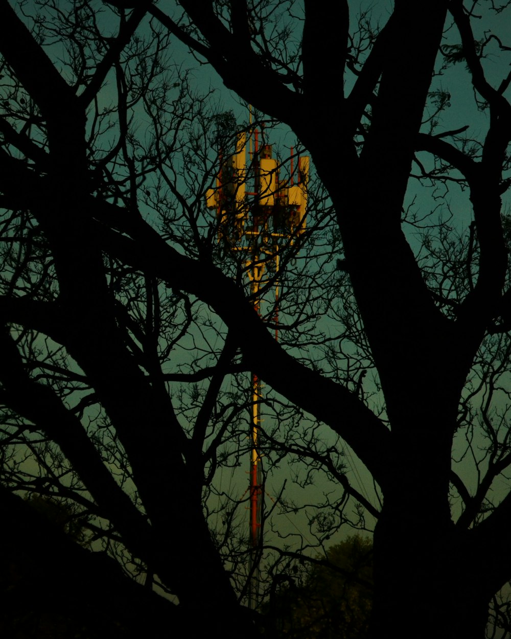 a tree with no leaves and a street light in the background