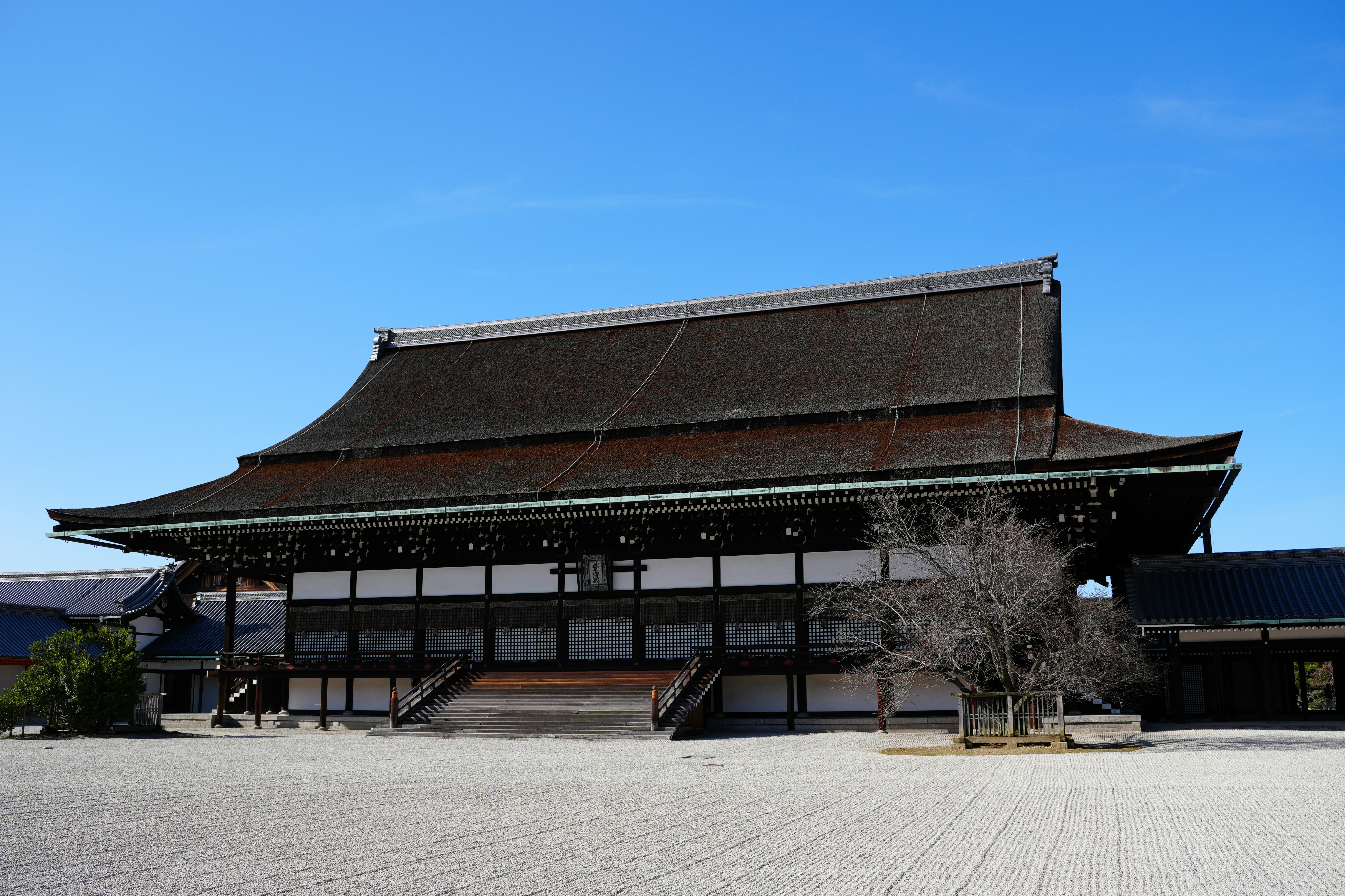 a large building with a tree in front of it