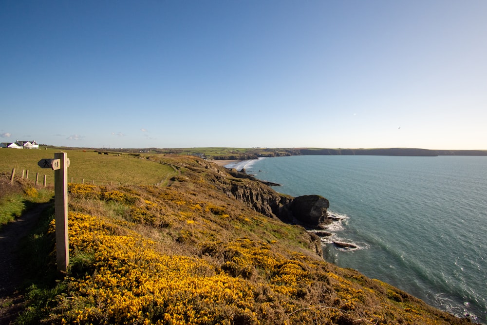 a grassy hill next to a body of water