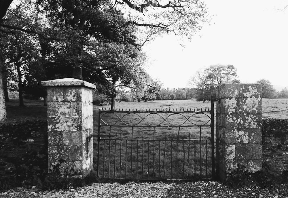 a black and white photo of a gate in a field