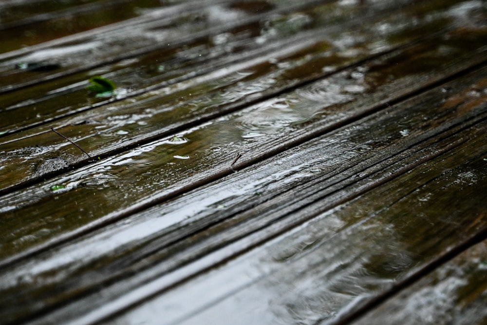 a close up of a wooden bench in the rain