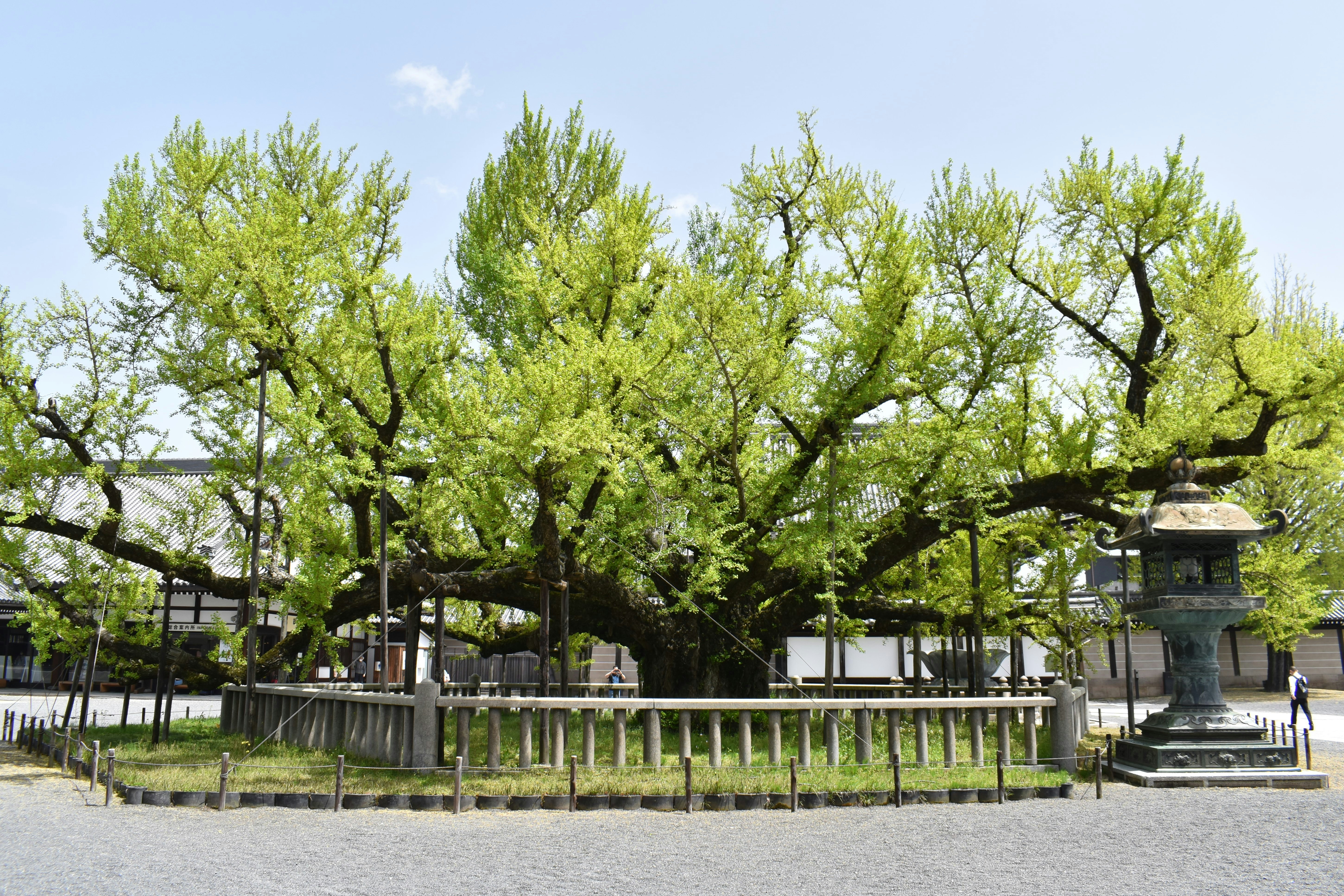 Photo by annnnnnnna8