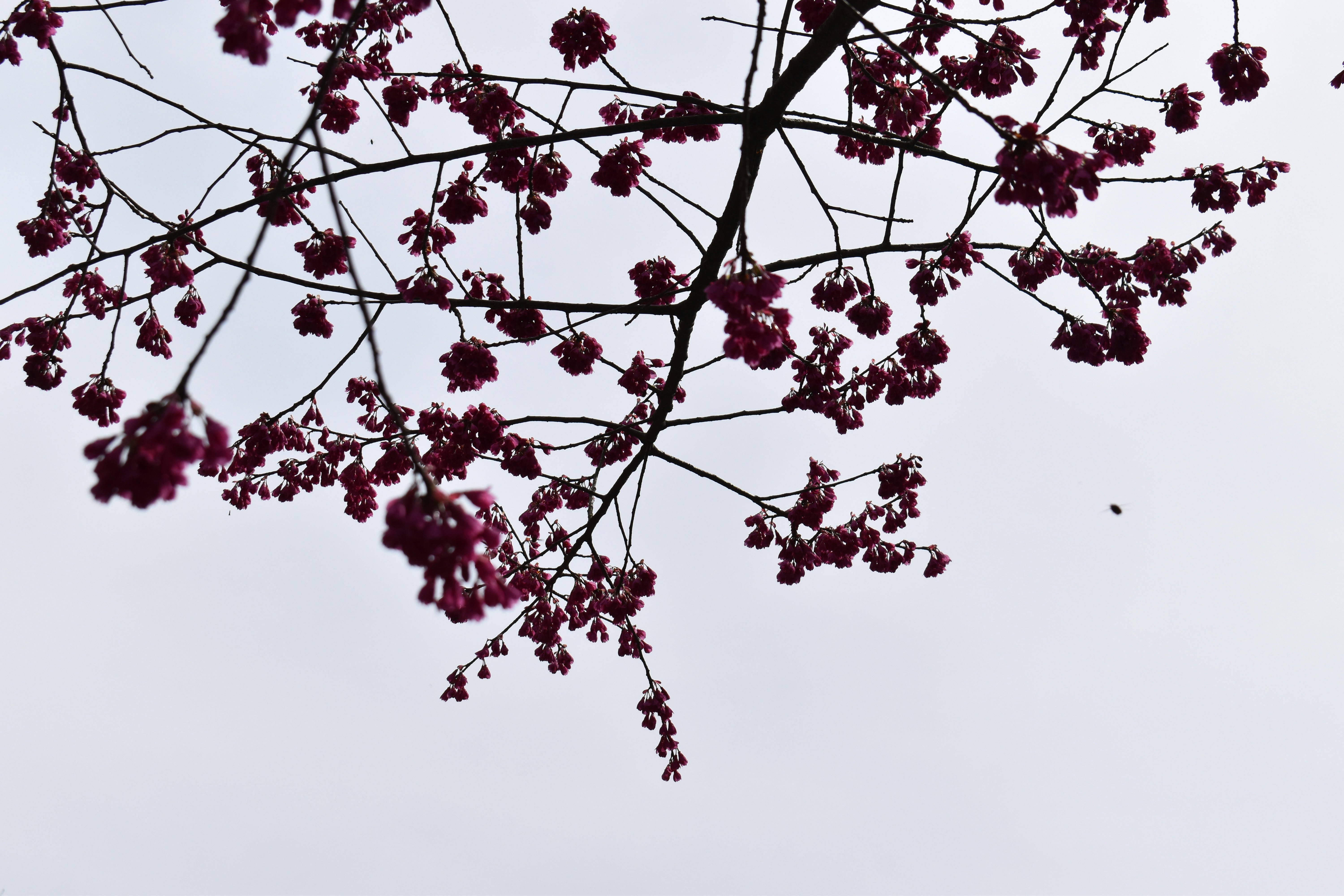 Photo by annnnnnnna8