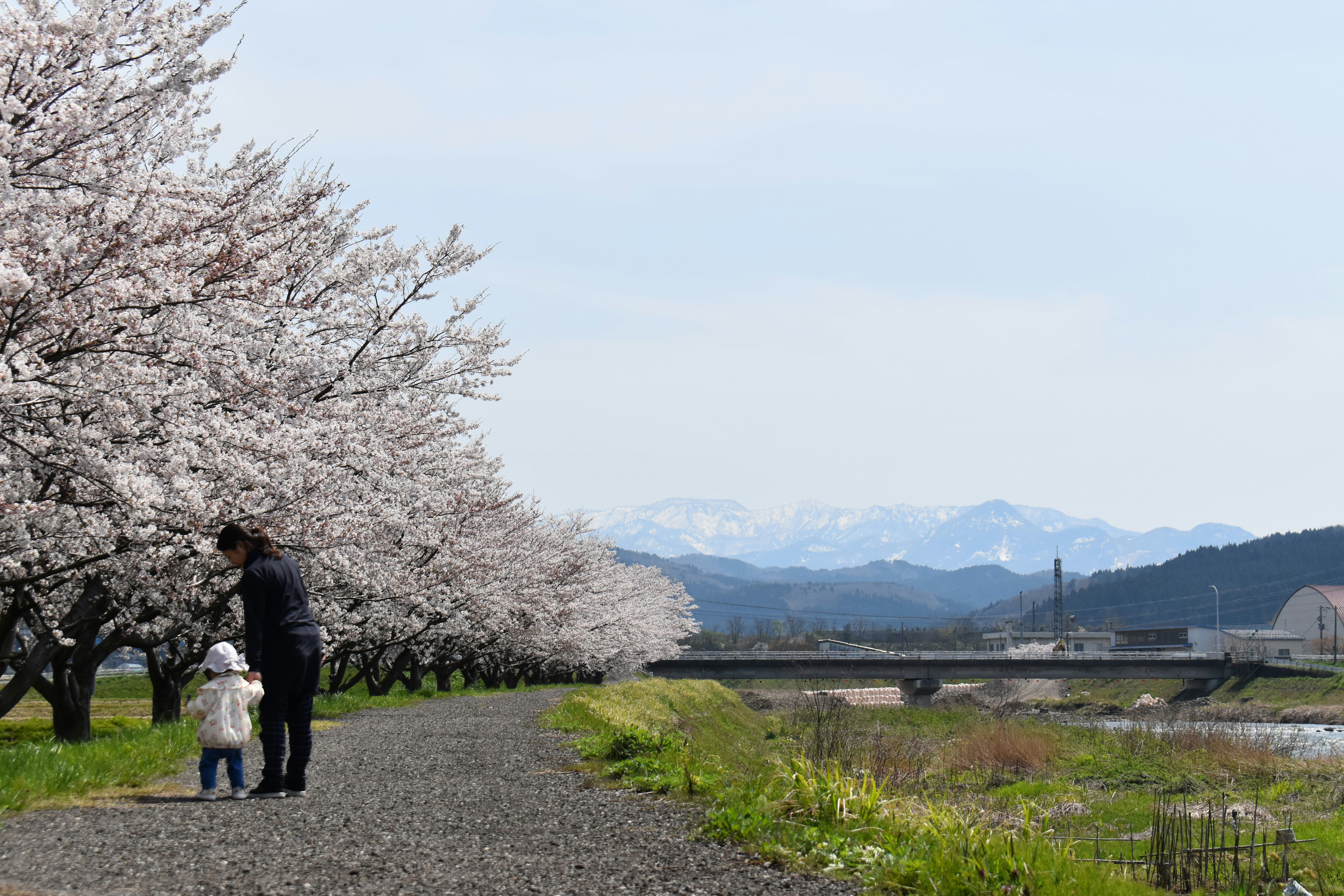 Photo by annnnnnnna8