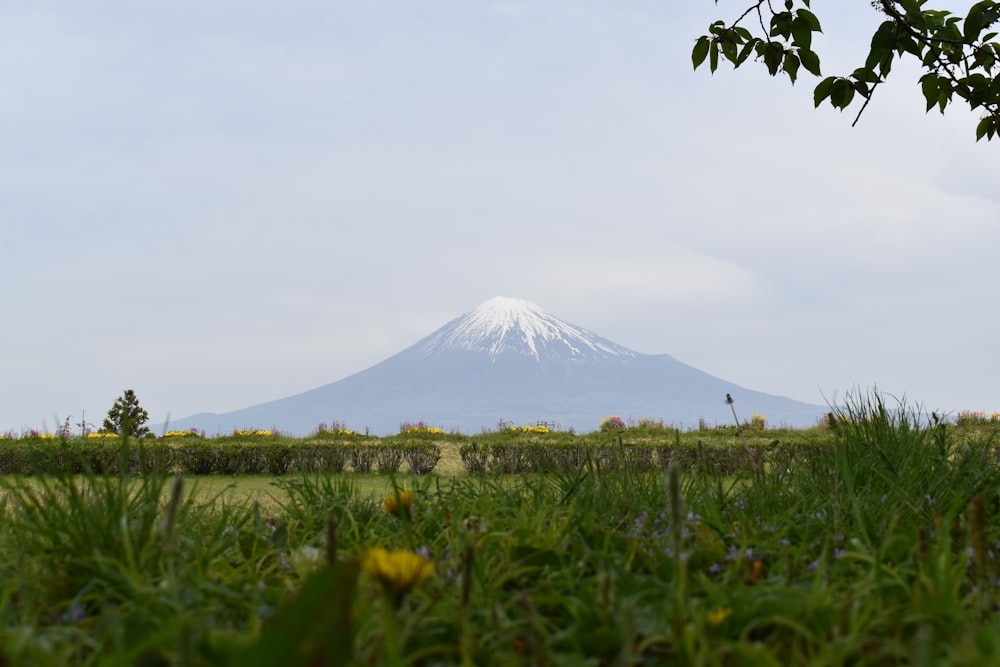 a view of a snow capped mountain in the distance