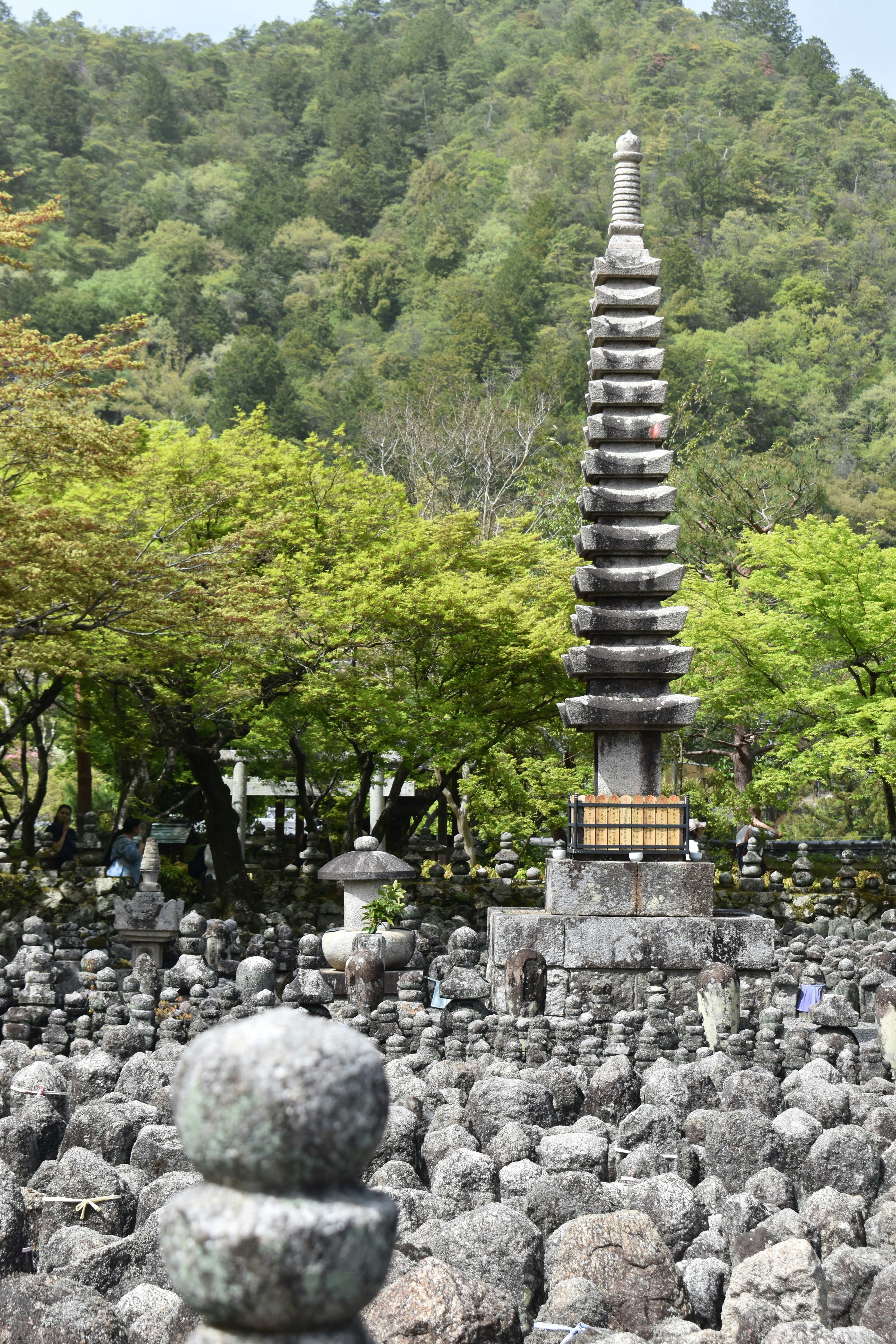 Photo by annnnnnnna8