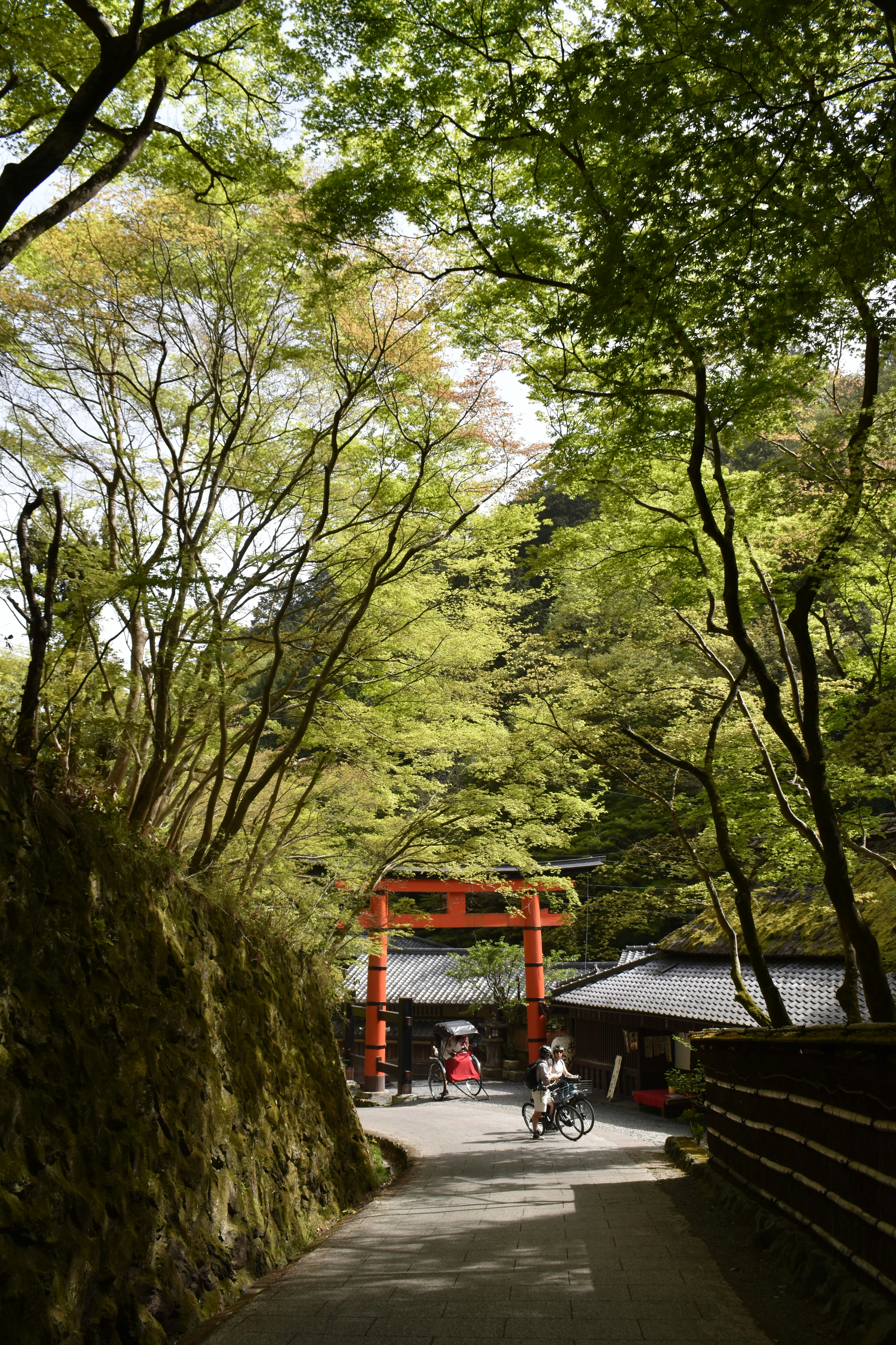 Photo by annnnnnnna8